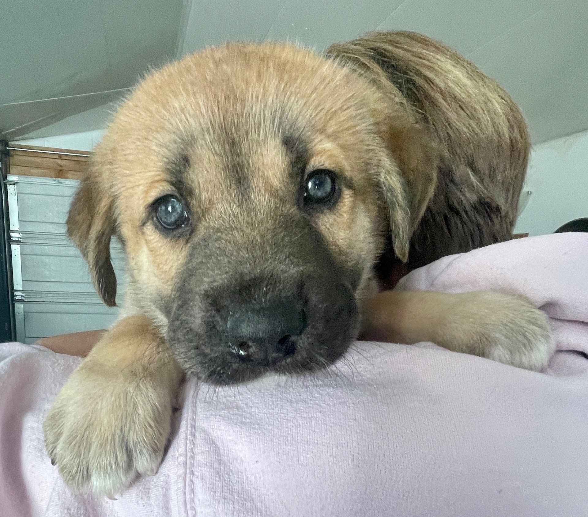 IMG_0137.JPEG