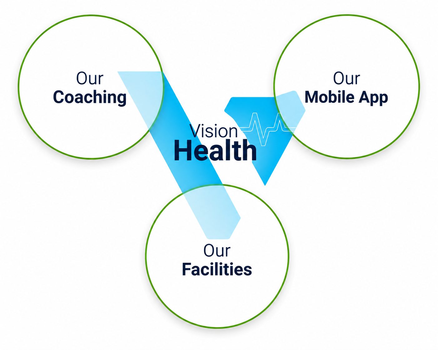 Vision Health image depicting the bringing together into one ecosystem - Coaching, Facilities (gyms) and Mobile App to help people improve their health