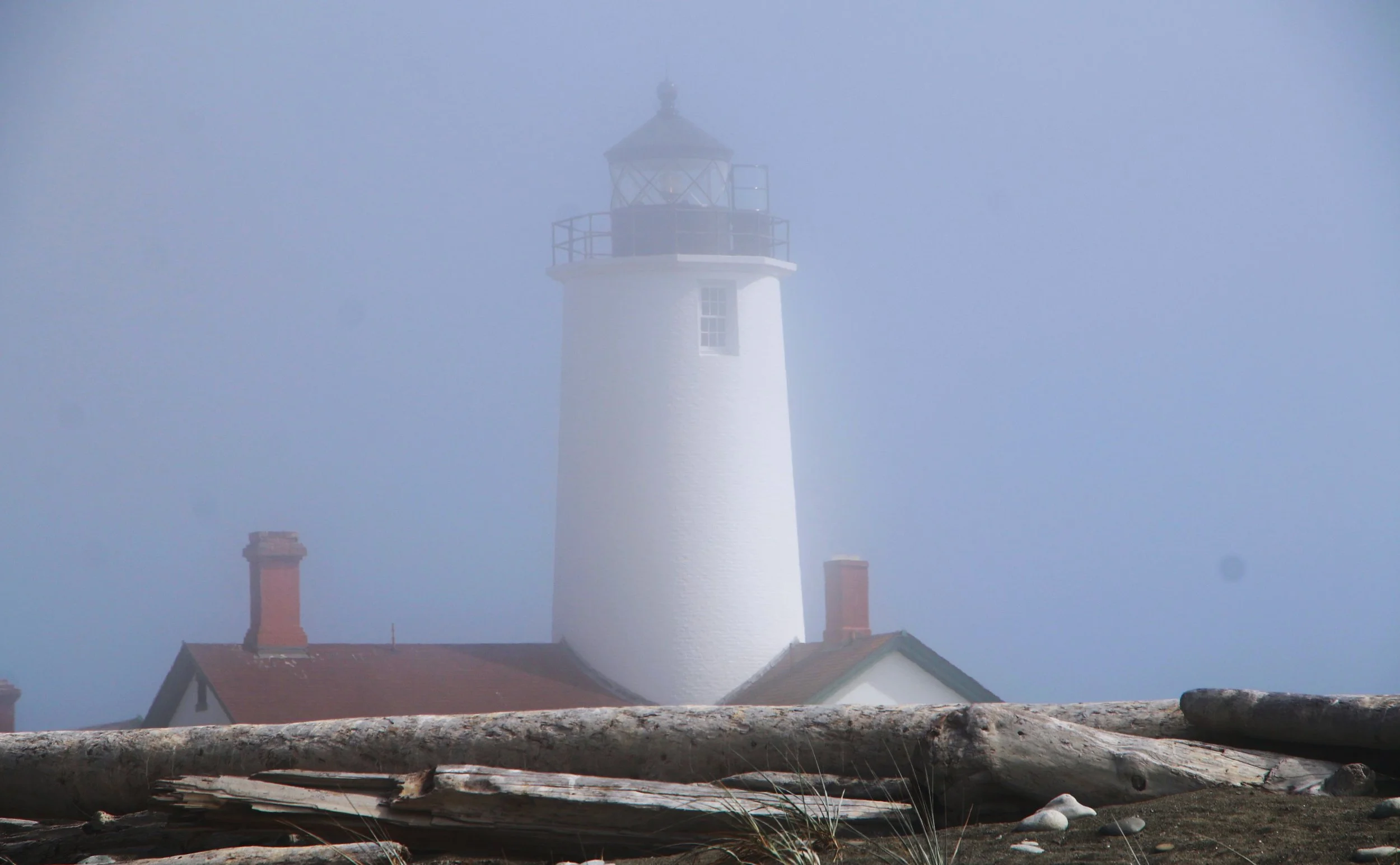 IMG_7229-Edited.jpg