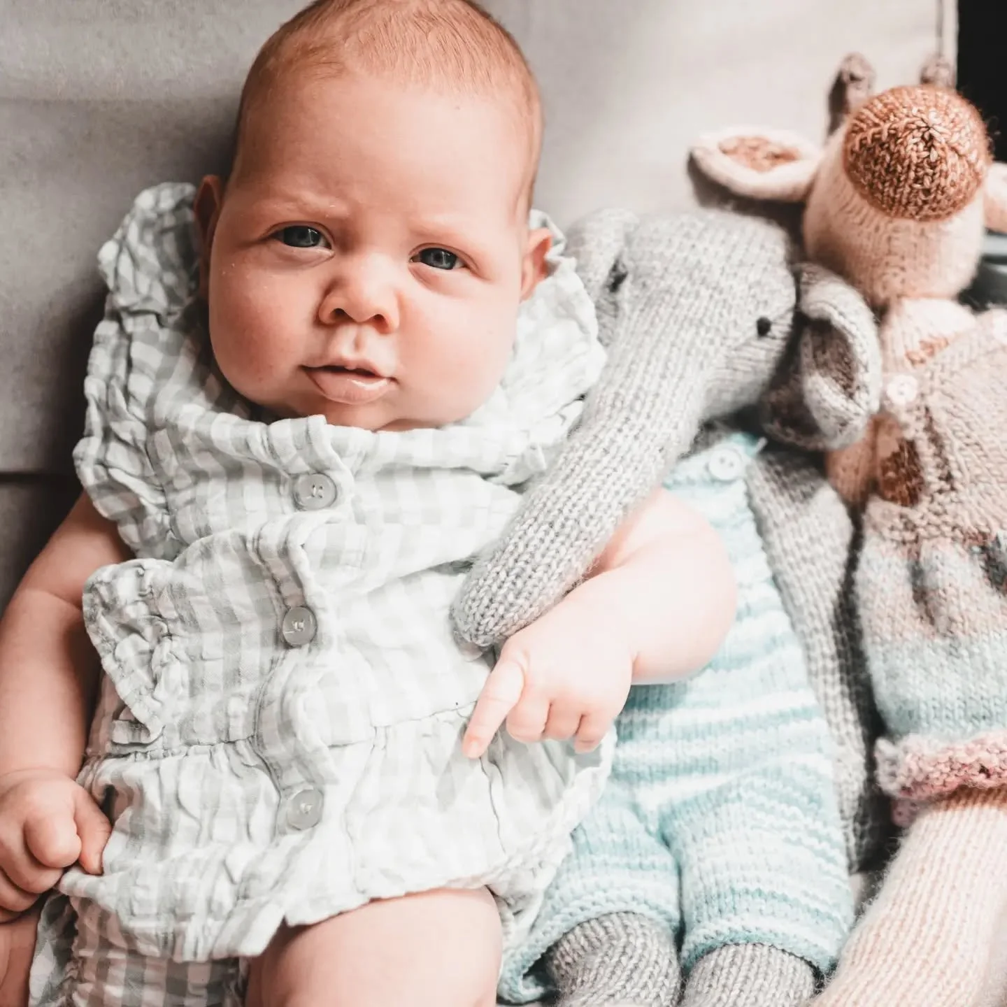 Hallie, no bigger than her hand-knitted giraffe and elephant. A very loved little girl 🫶🏼

These are the tiny moments captured from those first few weeks, that grow into the most precious memories.