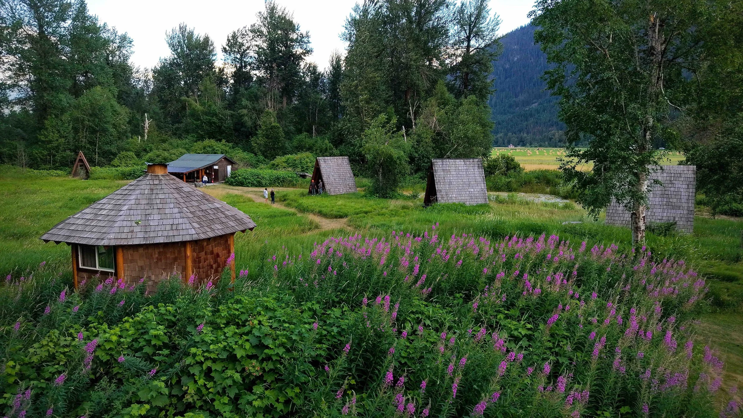 A scenic view of a rural area with small wooden cabins surrounded by lush green trees and flowering plants, with mountains in the background and a group of people walking along a dirt path.