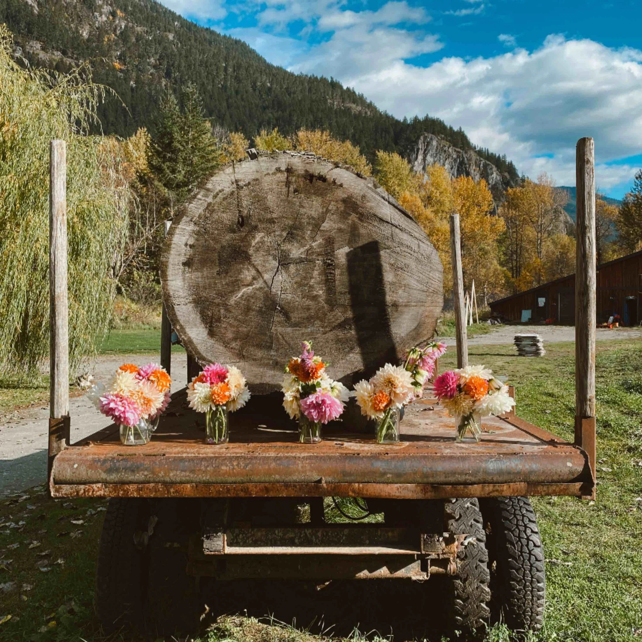 A large fallen log on a rustic wooden cart, surrounded by colorful flower arrangements, with a backdrop of trees, mountain, and sky.