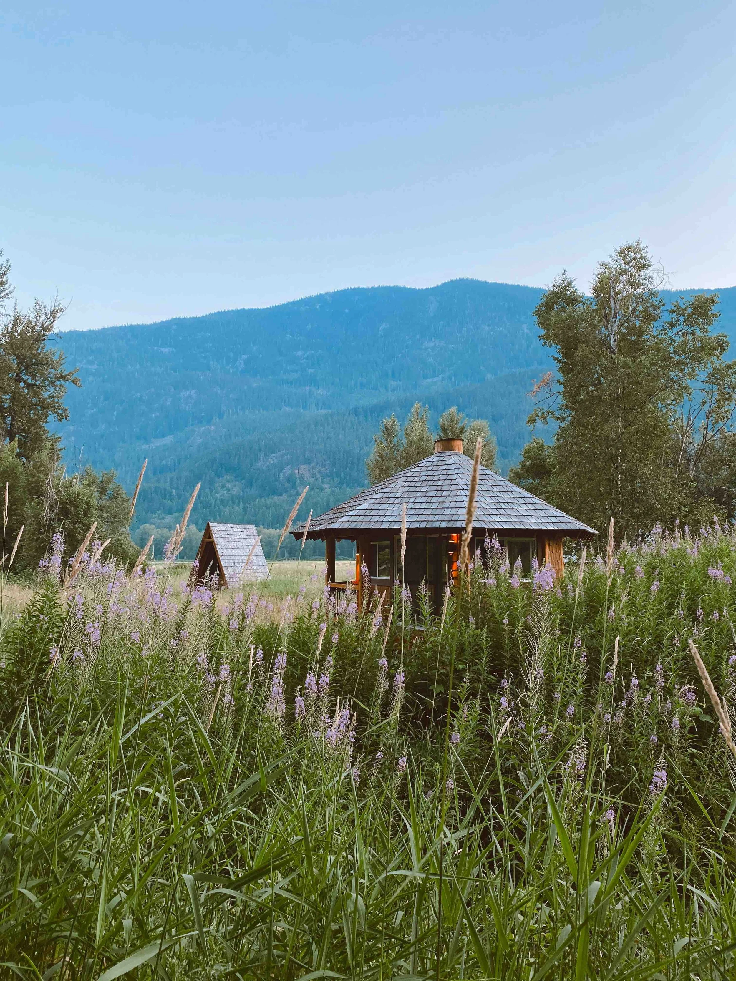 A scenic view of a rustic cabin with a shingled roof surrounded by tall purple wildflowers, with green trees and a mountain range in the background under a clear blue sky.