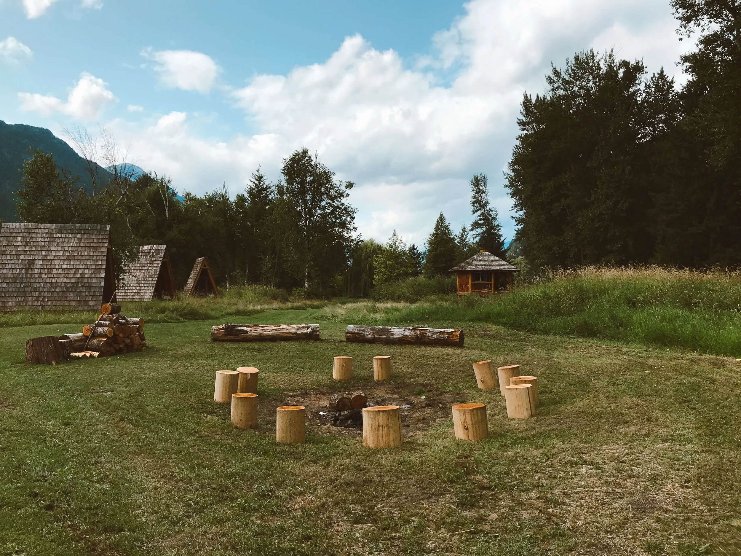A grassy outdoor area with wooden logs arranged as seats, a woodpile, small wooden shelter, trees, mountains in the background, and a partly cloudy sky.