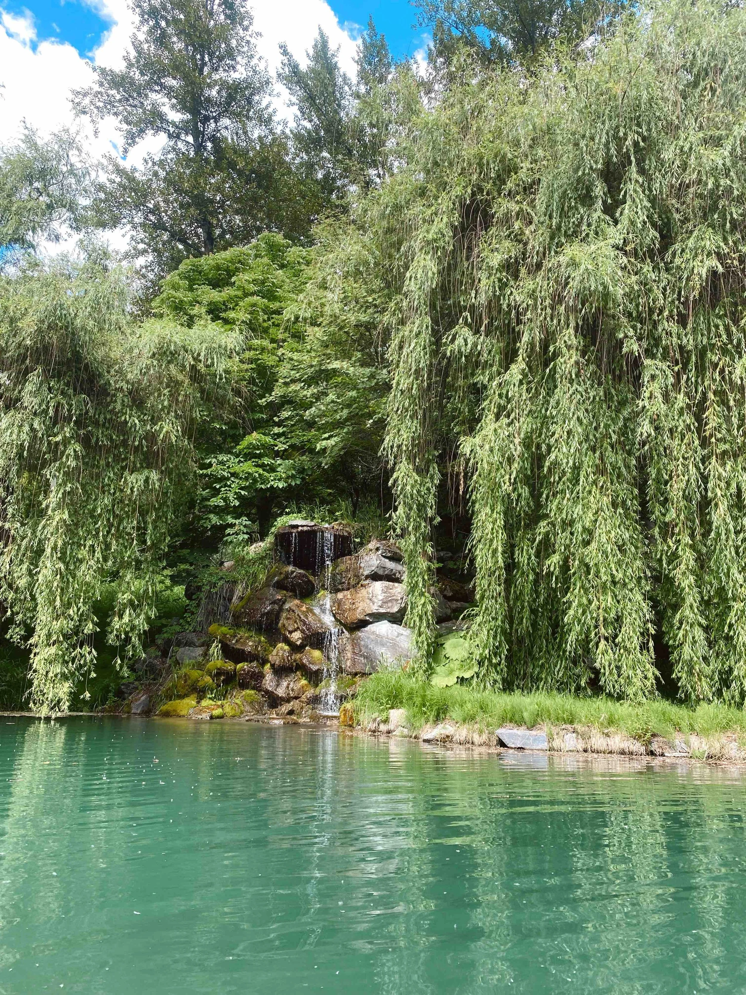 A tranquil pond with clear water, surrounded by lush green trees including weeping willows, with a small waterfall cascading over rocks.