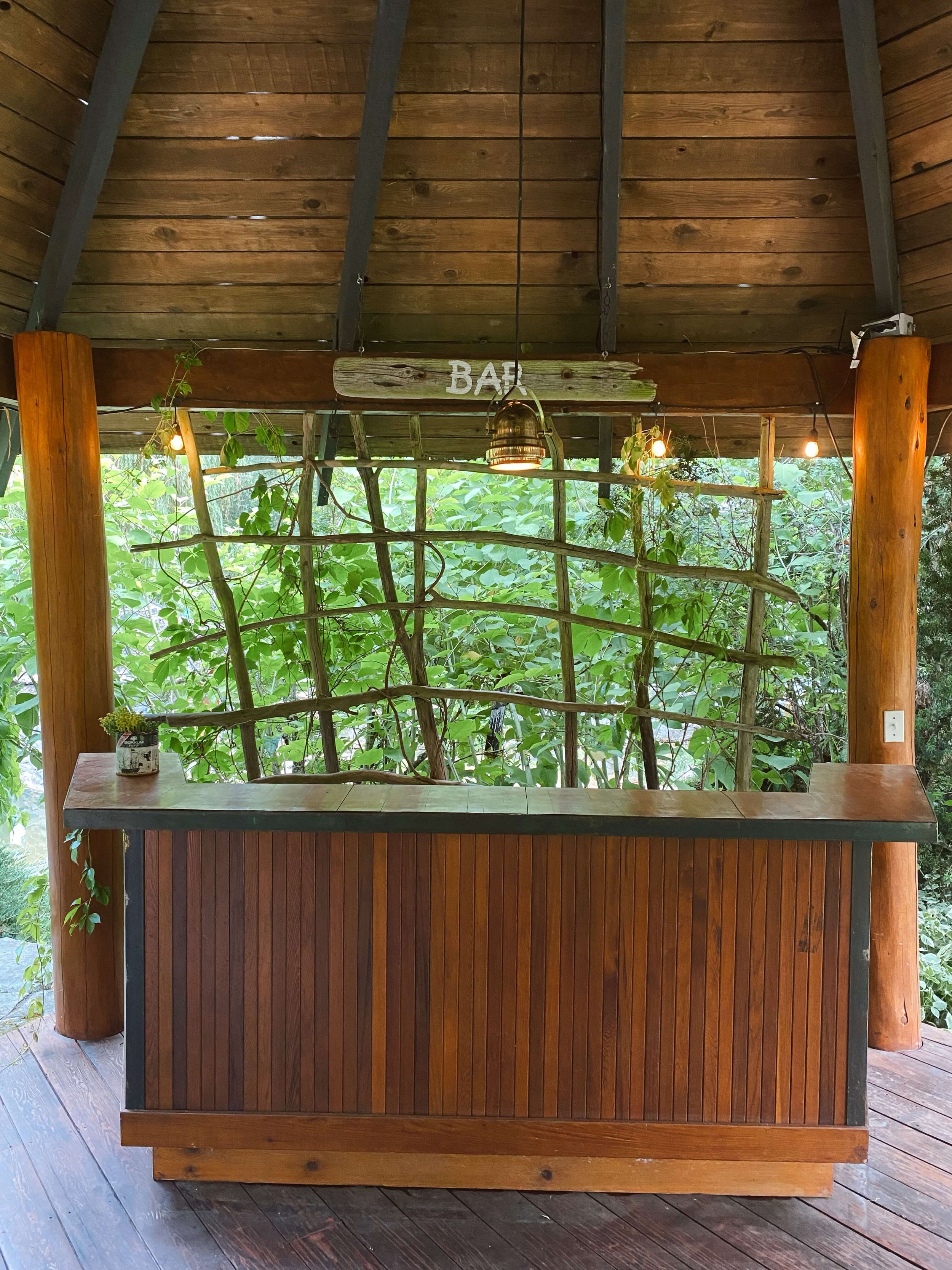 A wooden bar with a sign that says 'BAR' hanging above it, surrounded by lush green foliage.