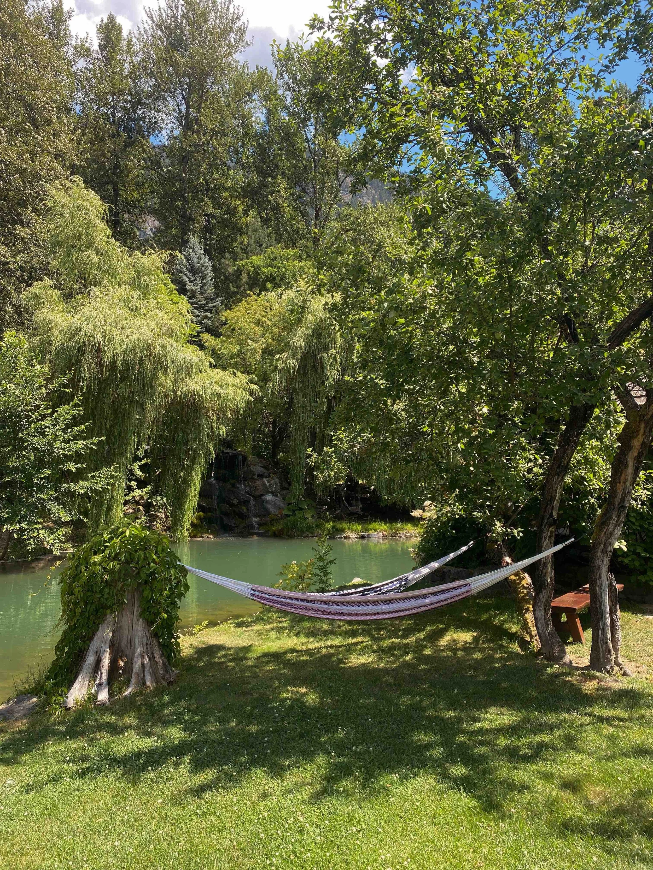 A hammock strung between two trees by a pond, with lush green trees and a waterfall in the background.