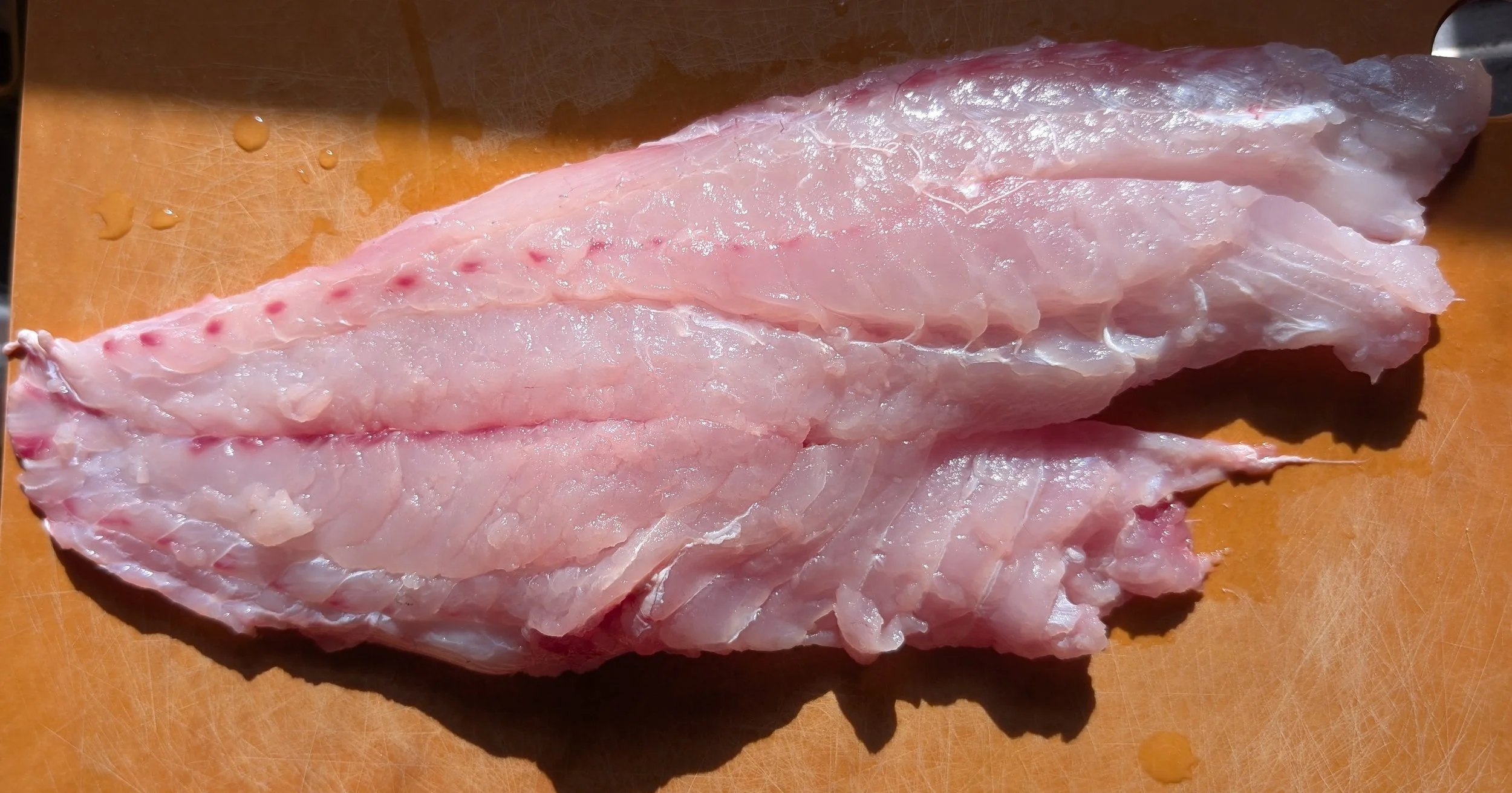 Snapper Fillet