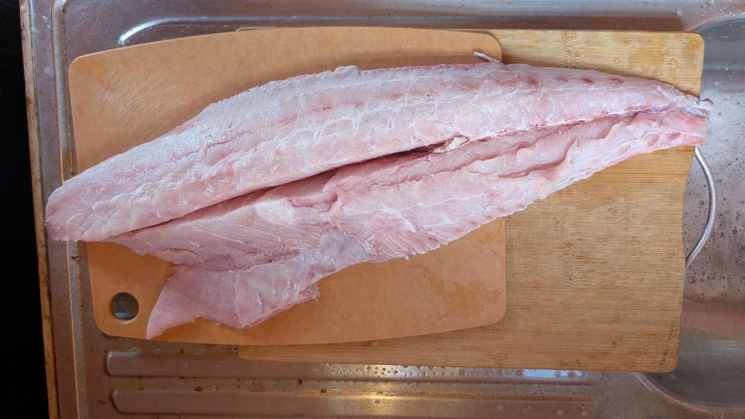 Cobia (2).jpg (Copy)