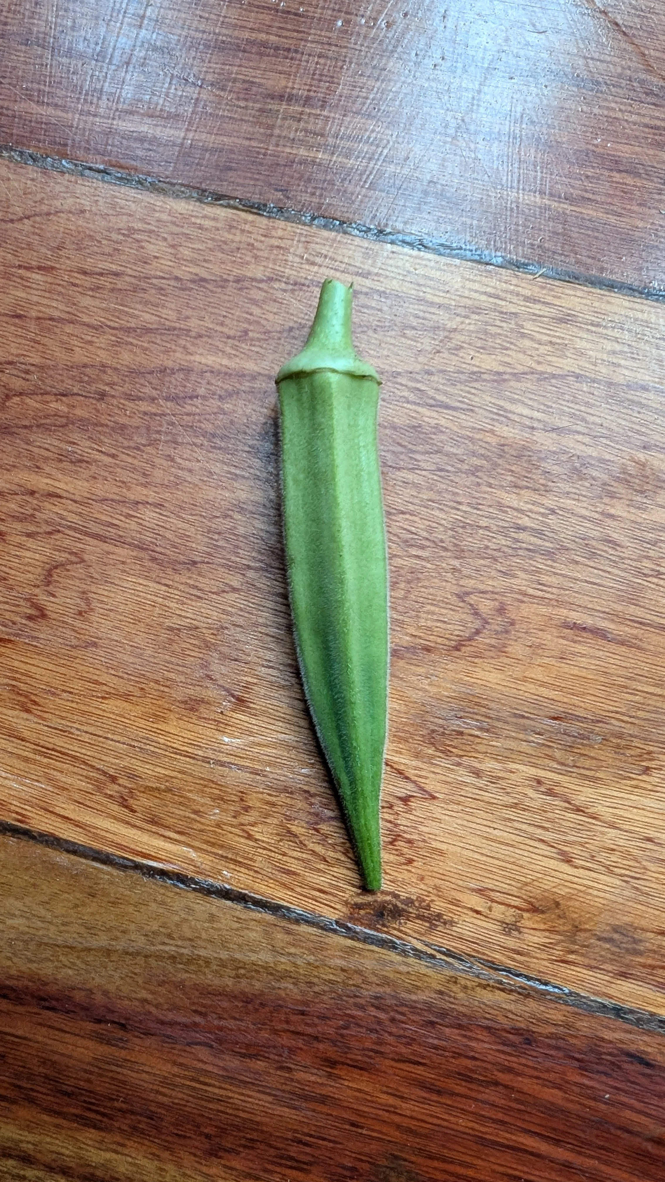 Organic Okra