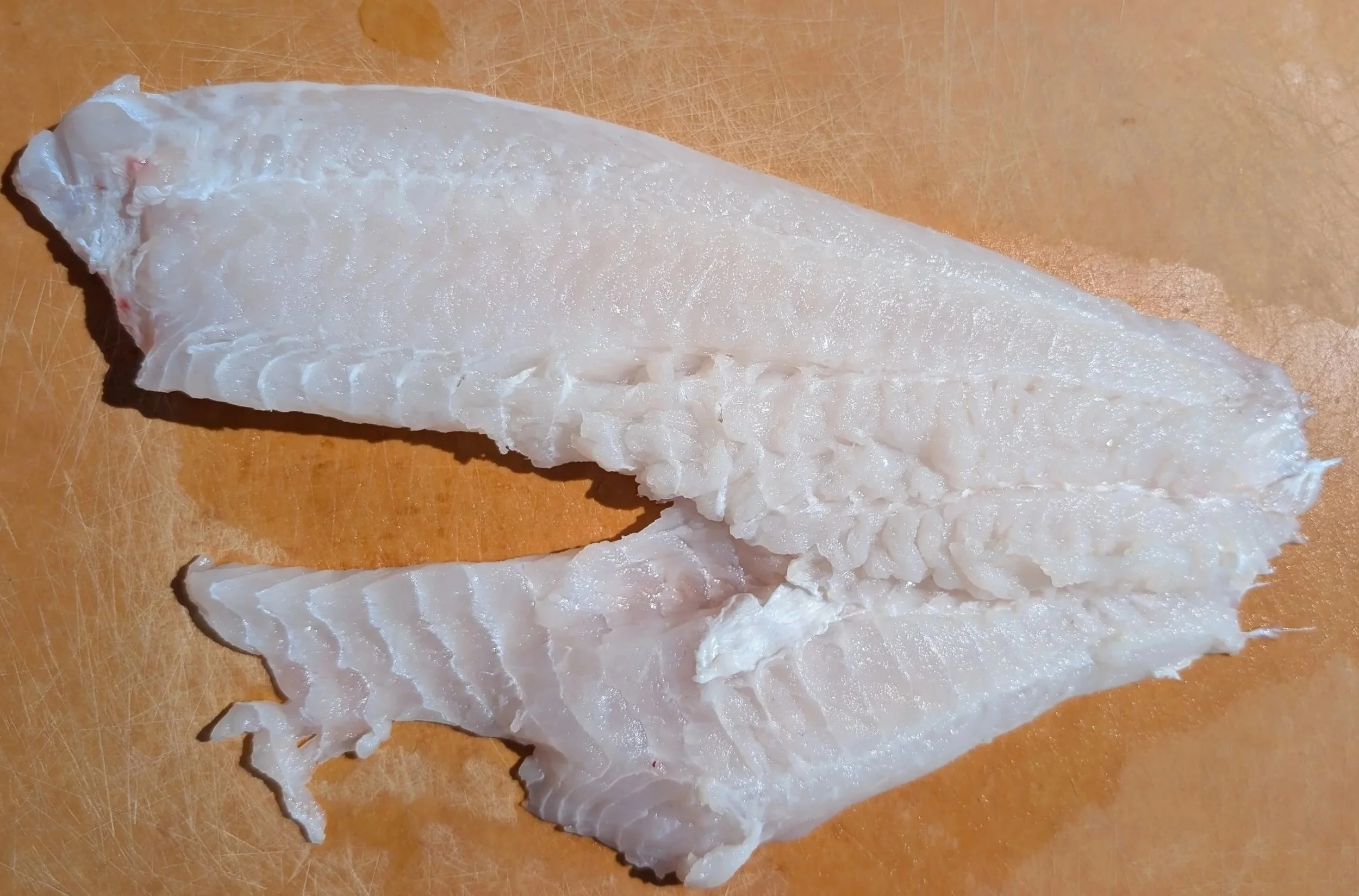 Hog Fish Fillet