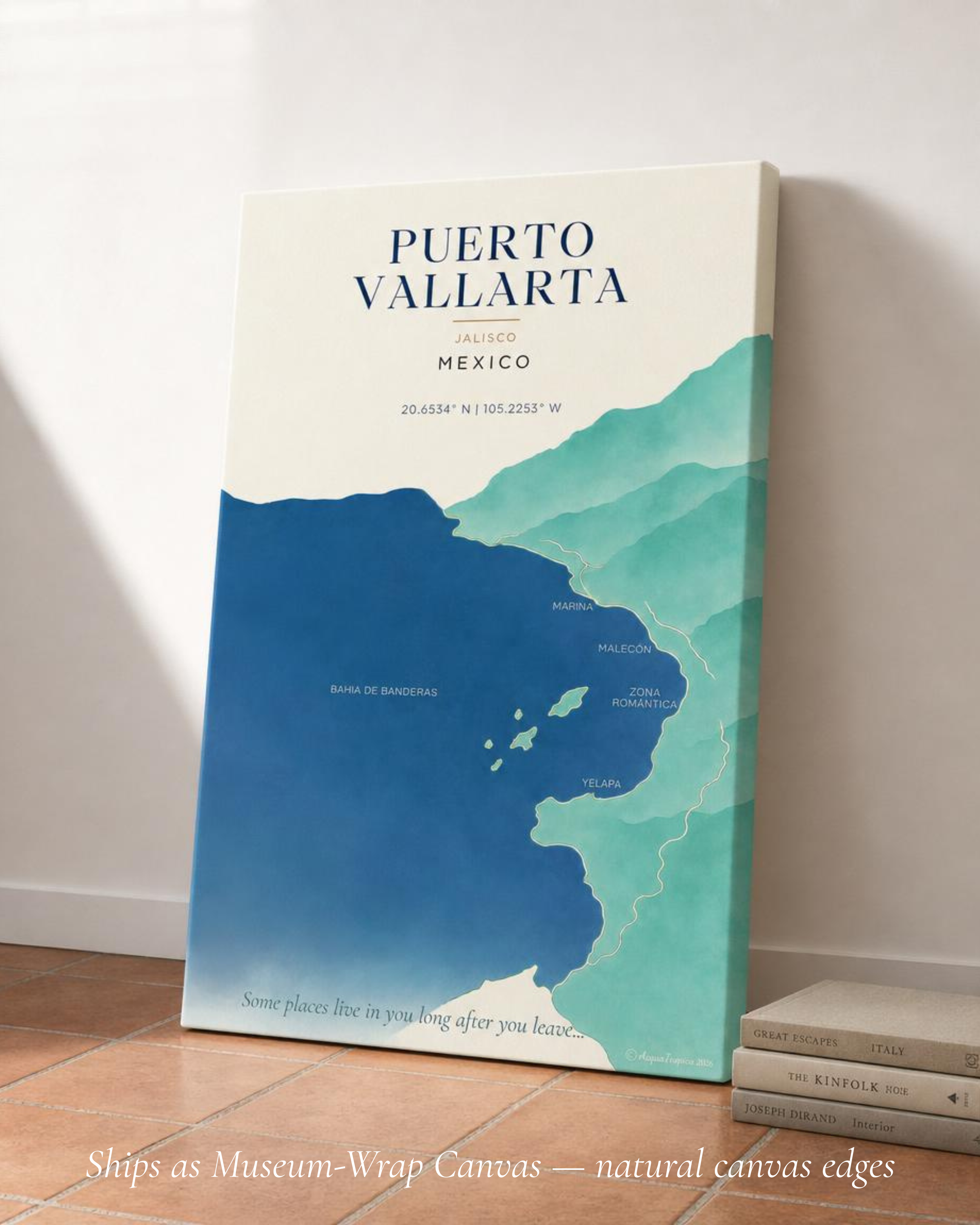 PuertoVallarta_Cvn.png