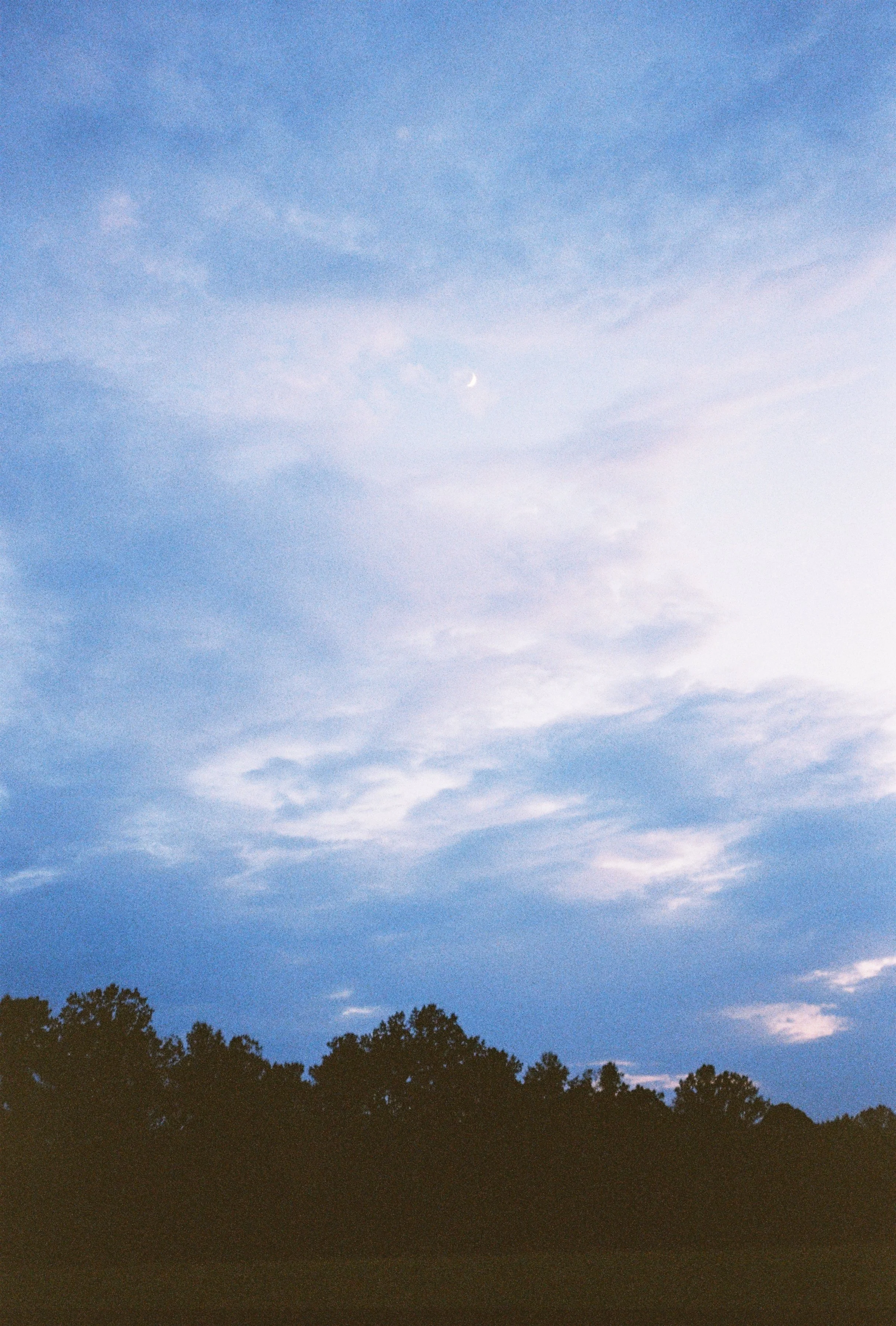 R1-09384-008A.JPG