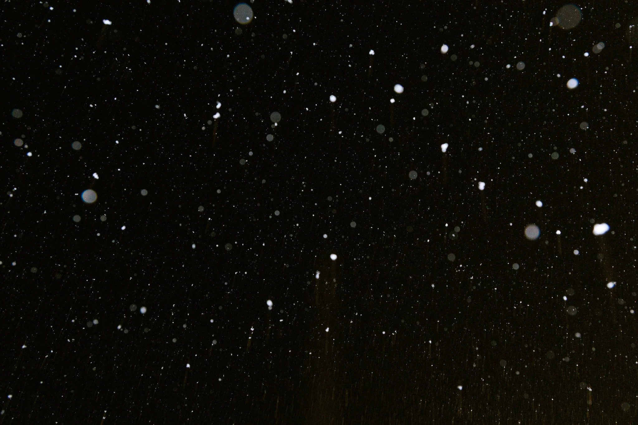 EC3A0822.jpg