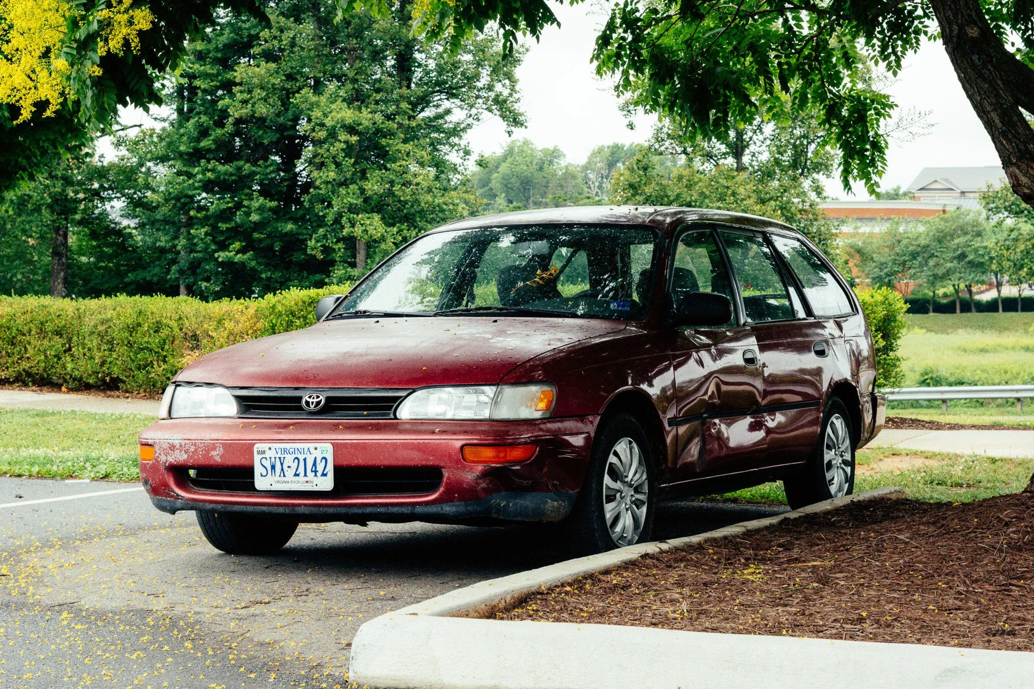 EC3A3665.jpg