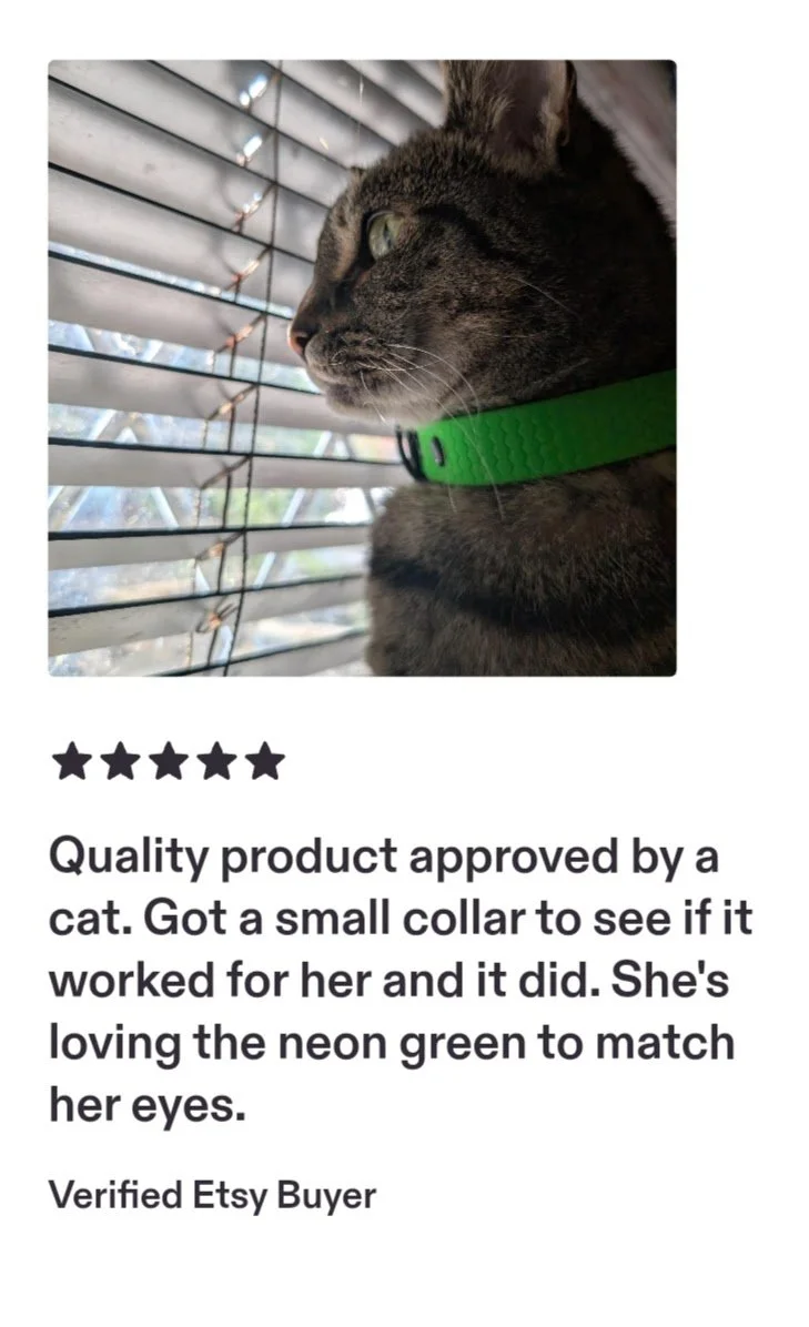 Close-up of a tabby cat with green eyes, wearing a neon green collar, looking out a window with blinds.