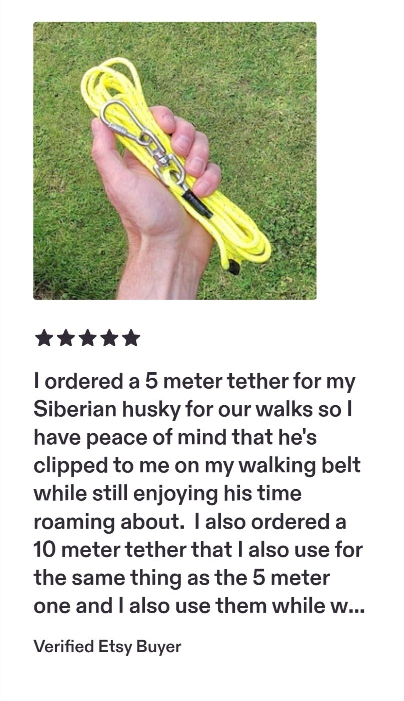 Hand holding a yellow 5-meter tether with a metal clip, used for walking a Siberian husky.