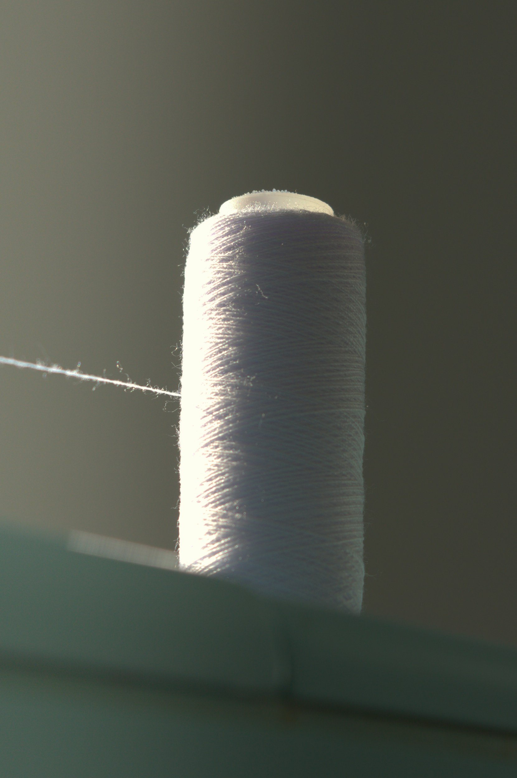 Close-up of a white cigarette with a blurred background.