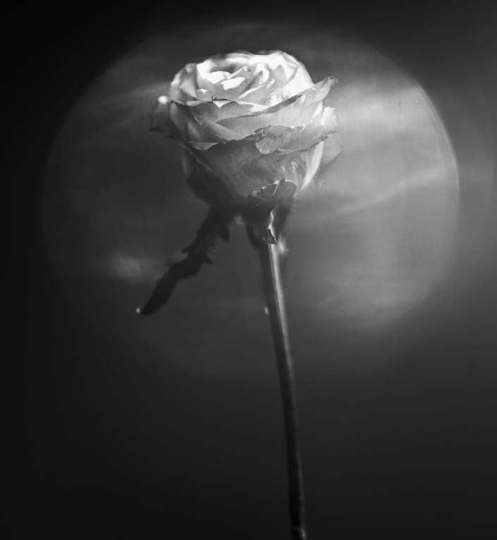 A whisper to the moon