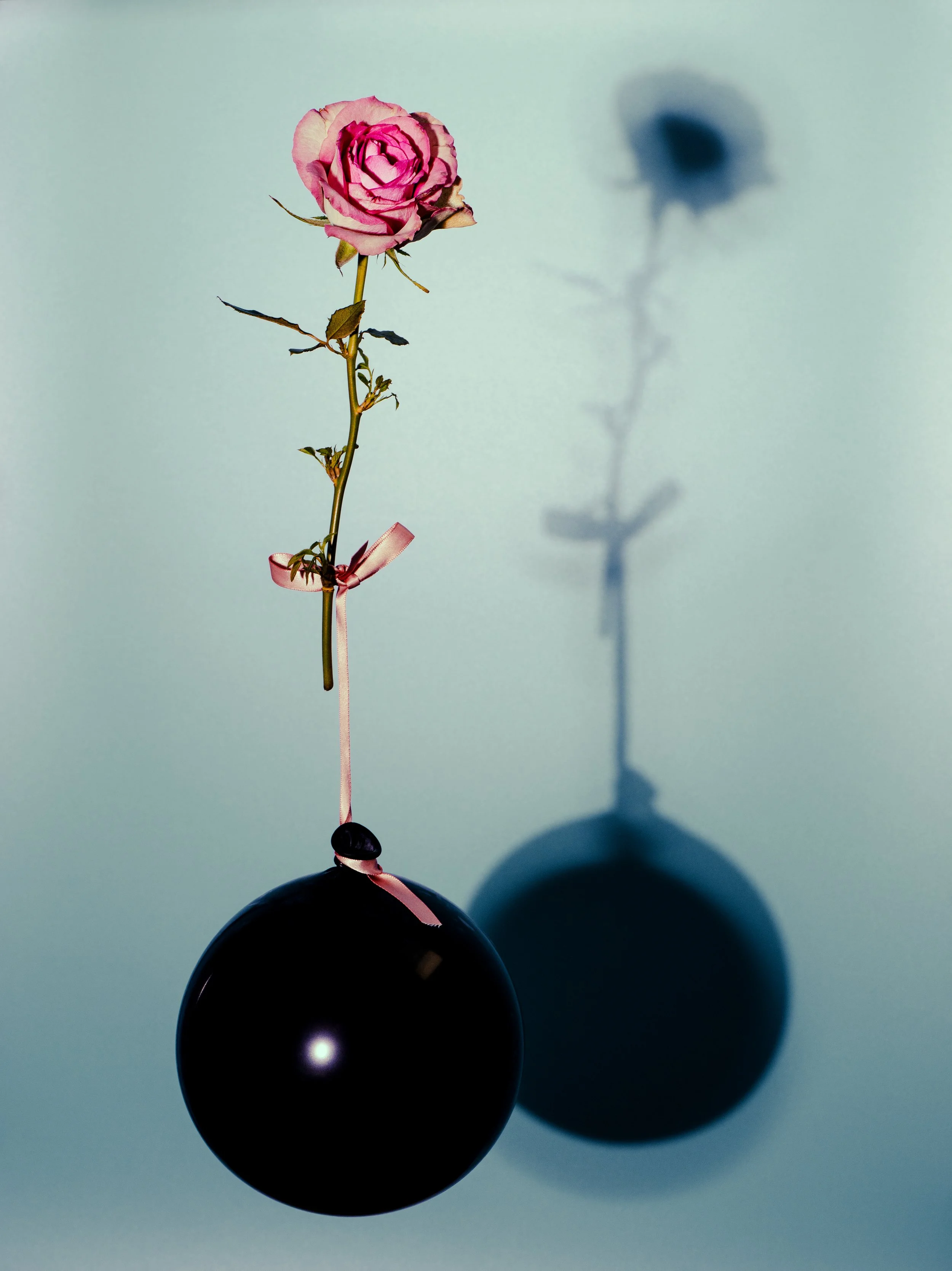 The weight of life