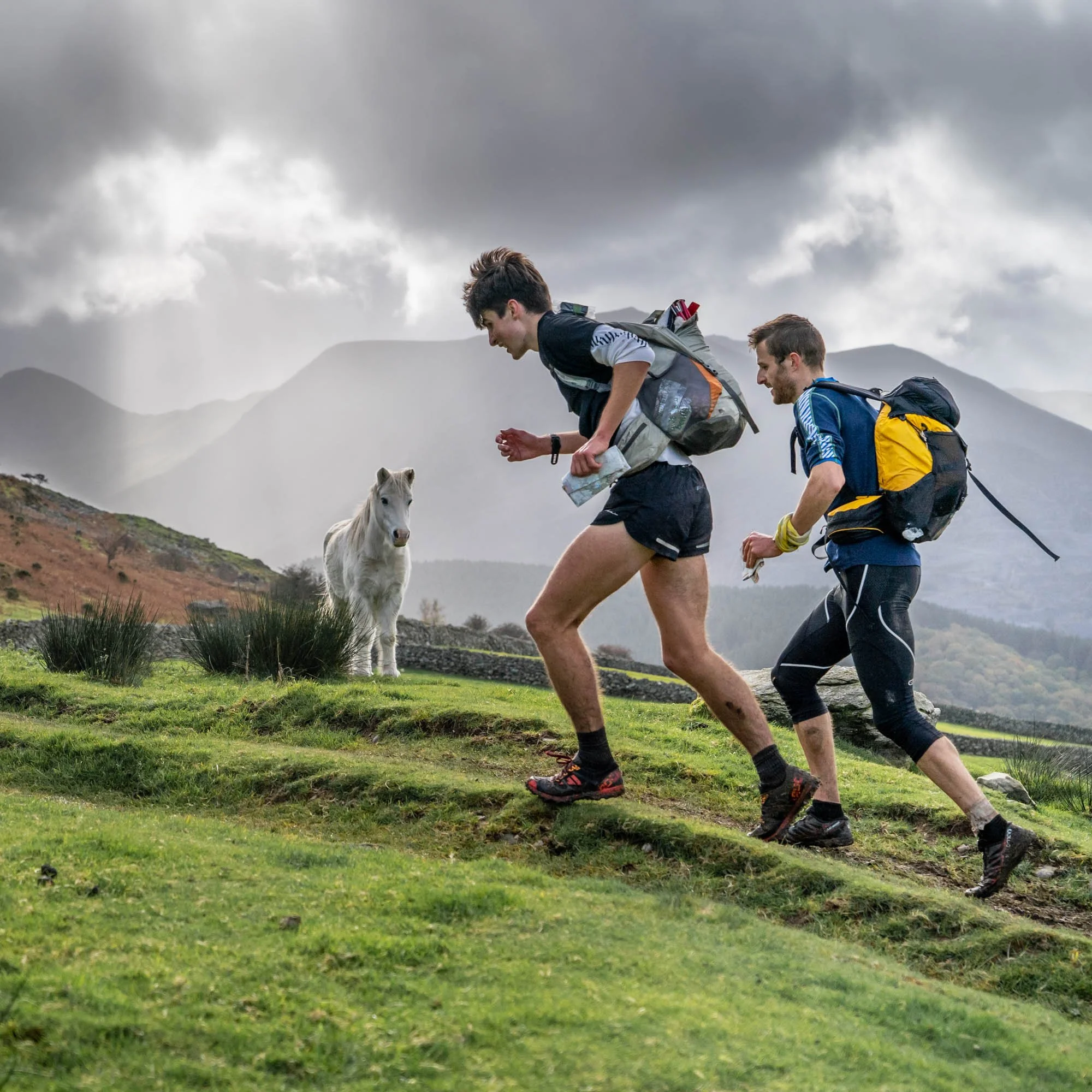 Two men trail running on a grassy hillside in cloudy weather, with a small white dog near them and mountains in the background.