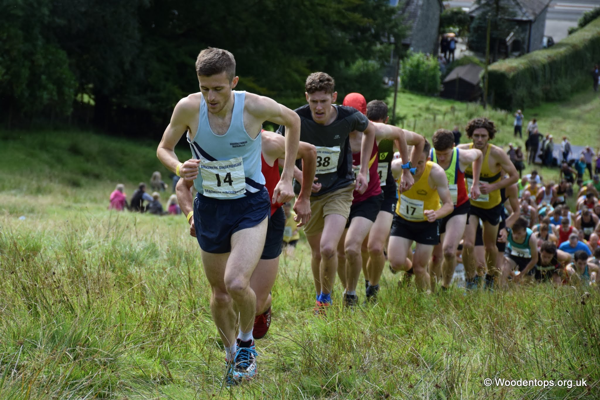 A group of runners participating in a race through a grassy outdoor area with trees and houses in the background.