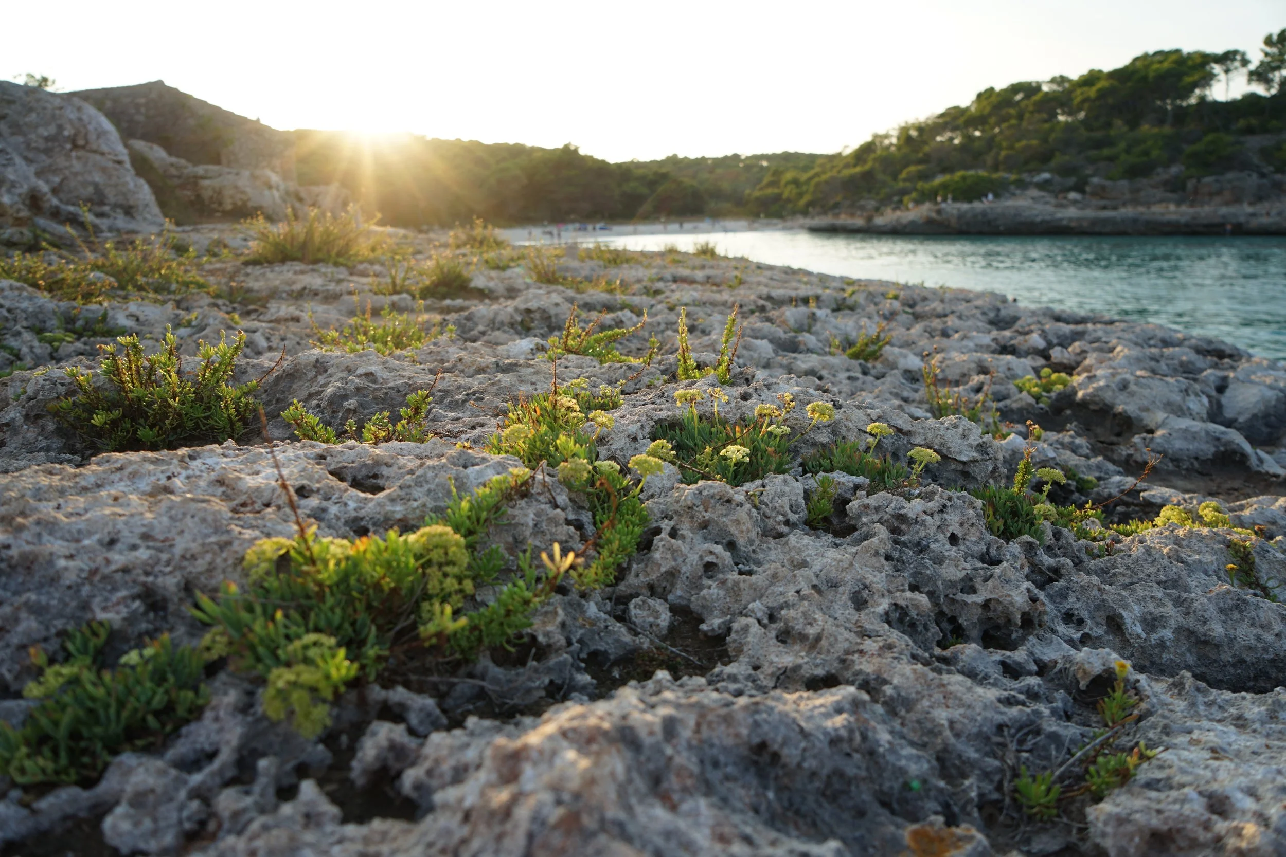 Mediterranean sunset in Mallorca inviting stillness, presence and connection with nature.