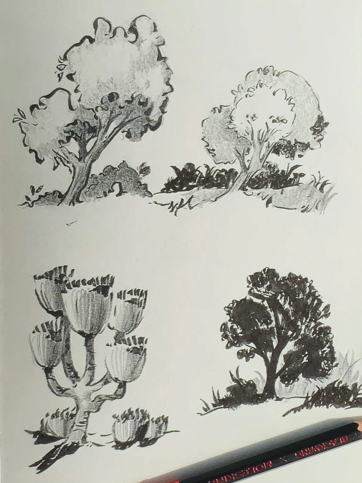 From the sketchbook
