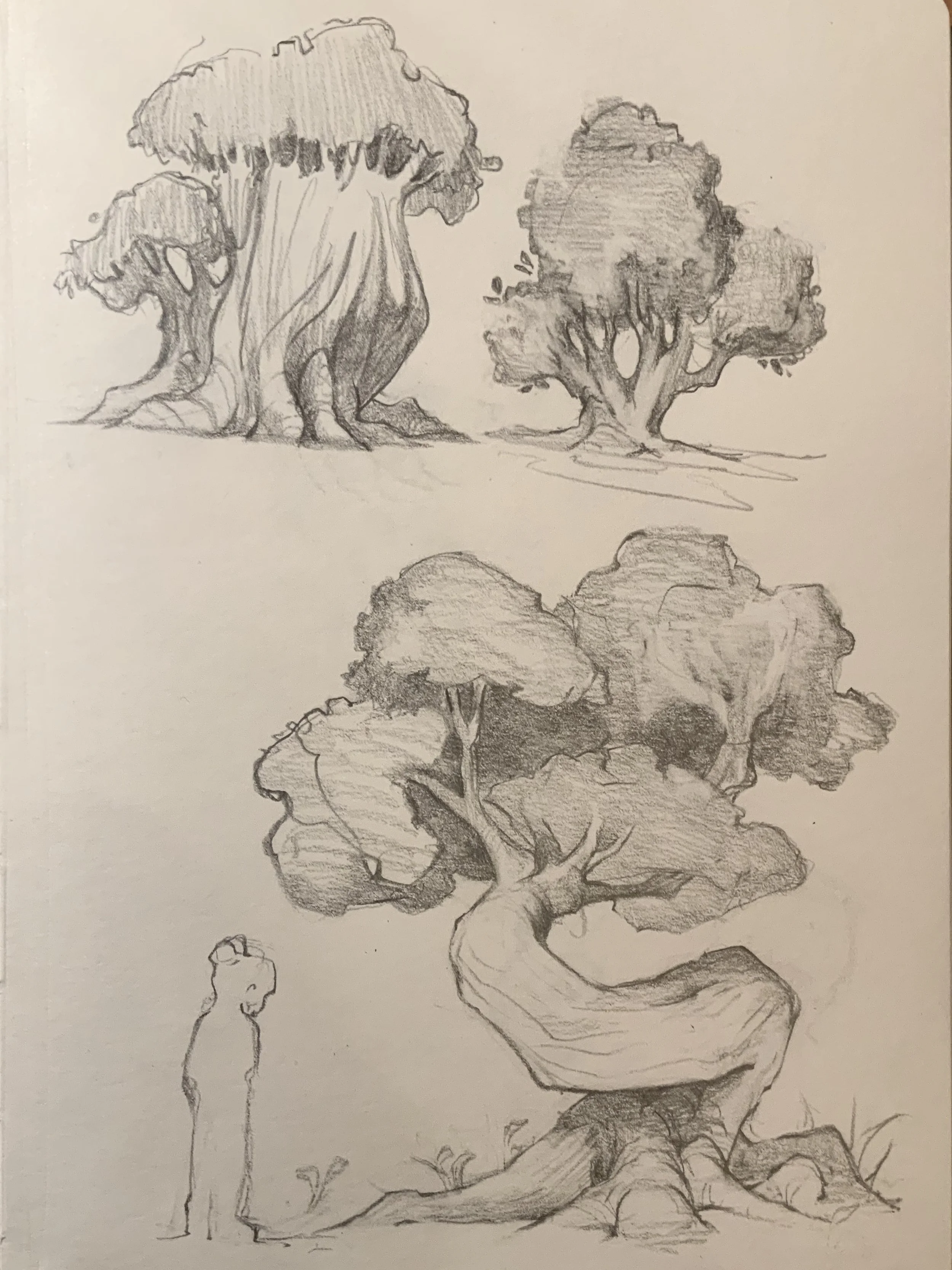 Trying out the @nicolas.weis method for sketching trees 

#visualdevelopment #sketchbook