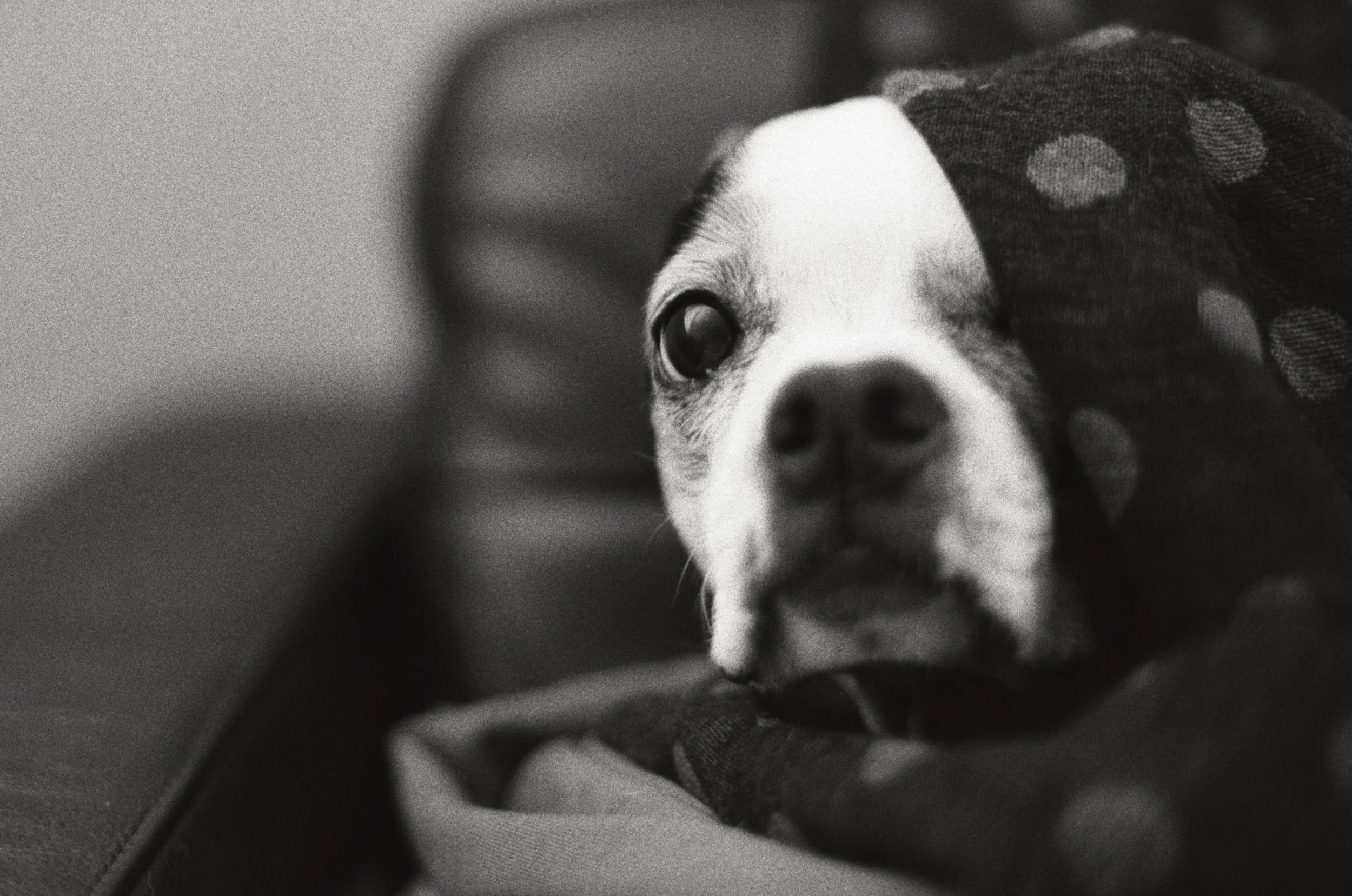 014_12 1.jpg