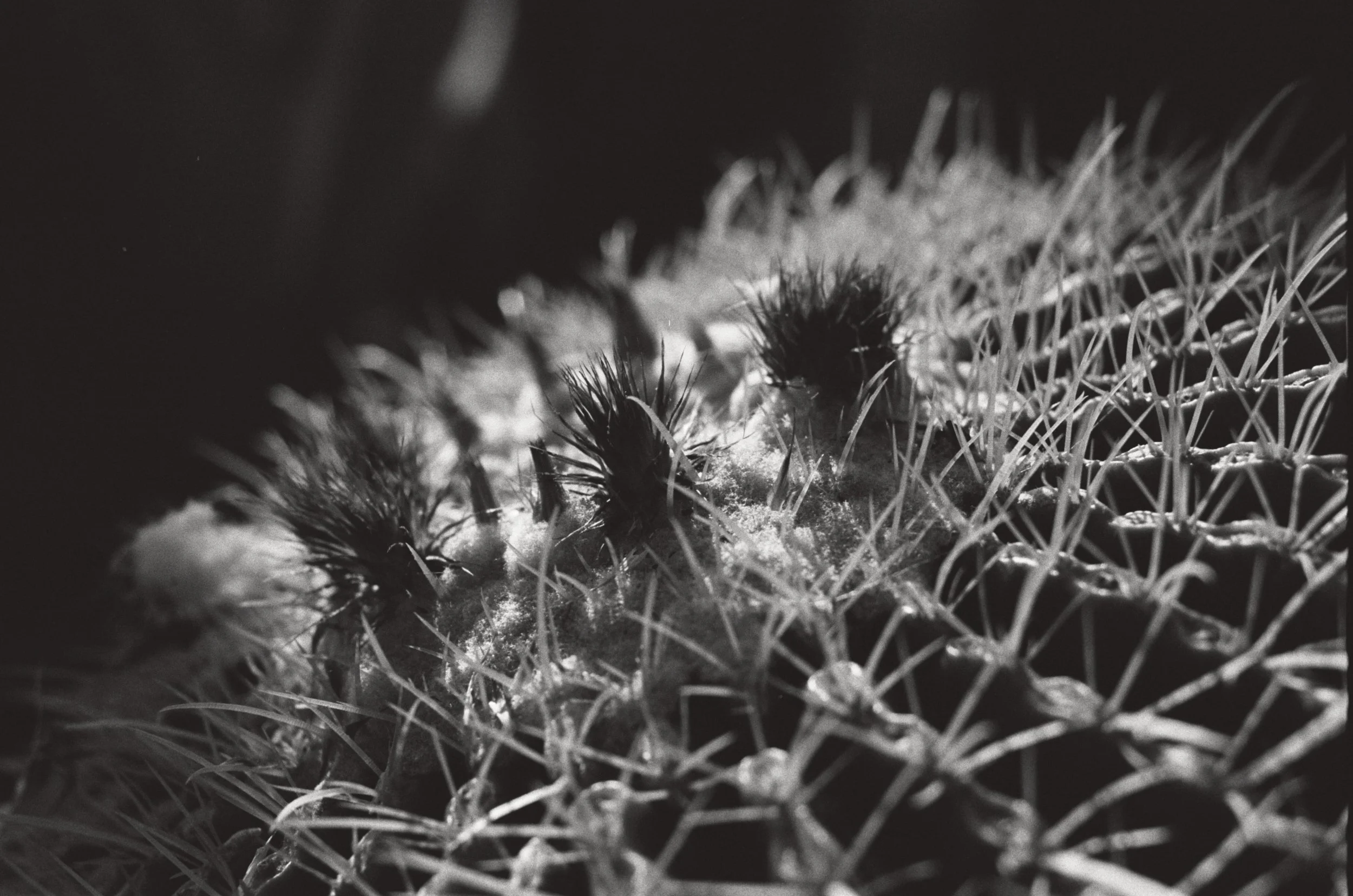 015_15.jpg