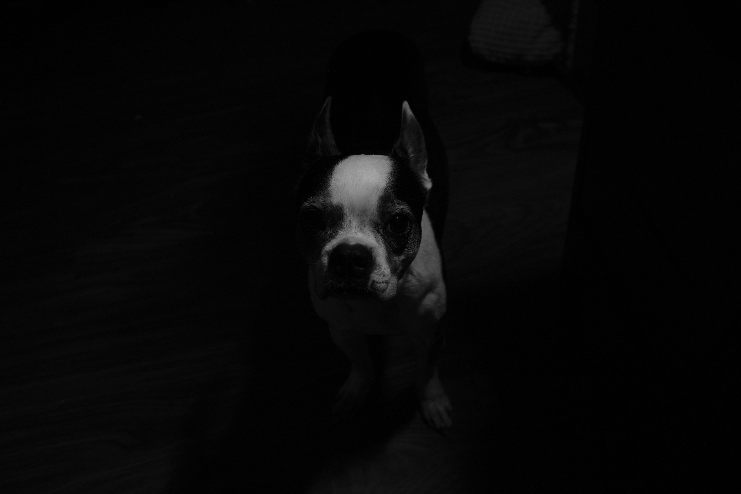 DSCF1042.jpg
