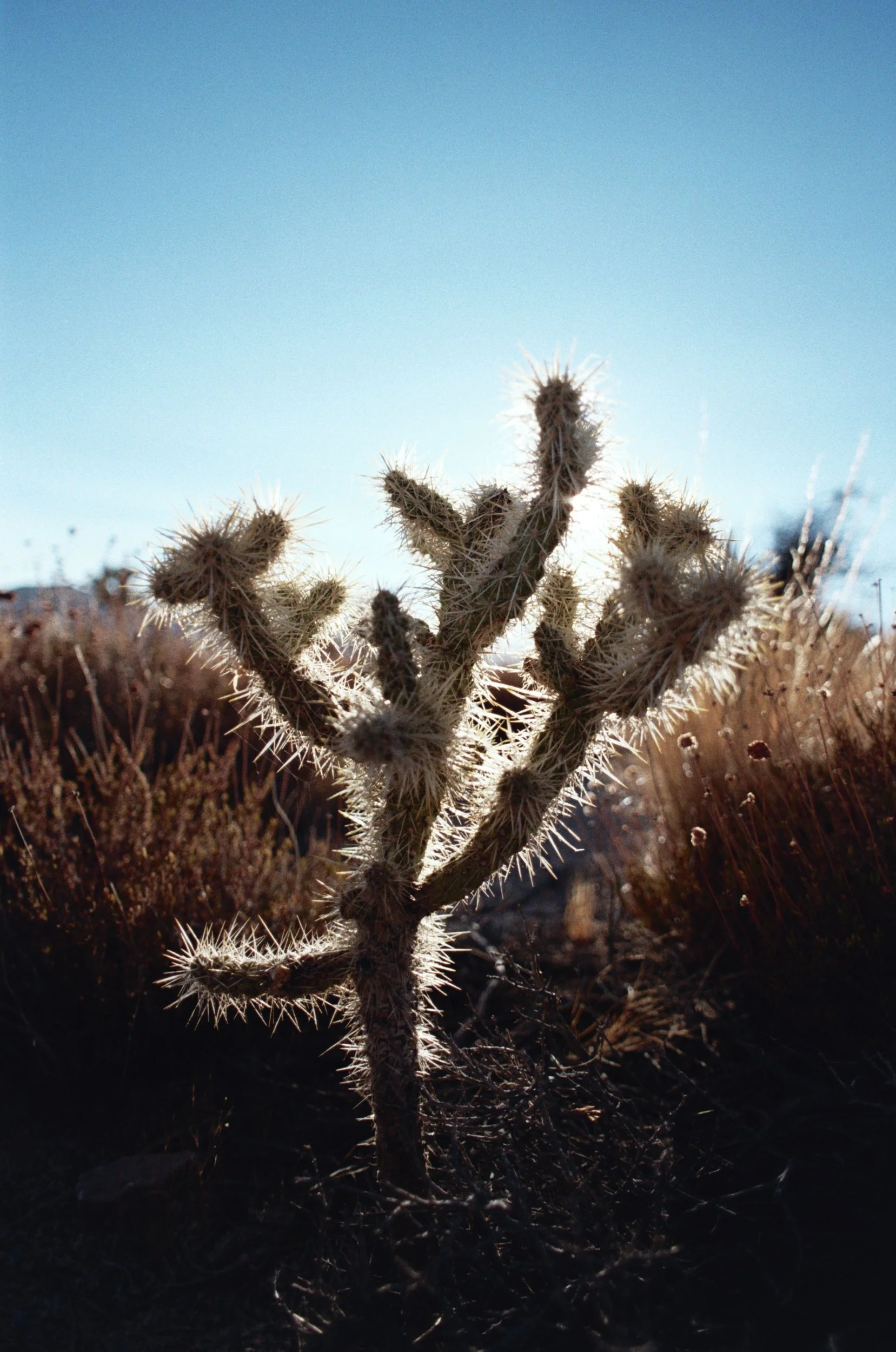 035_32A.jpg