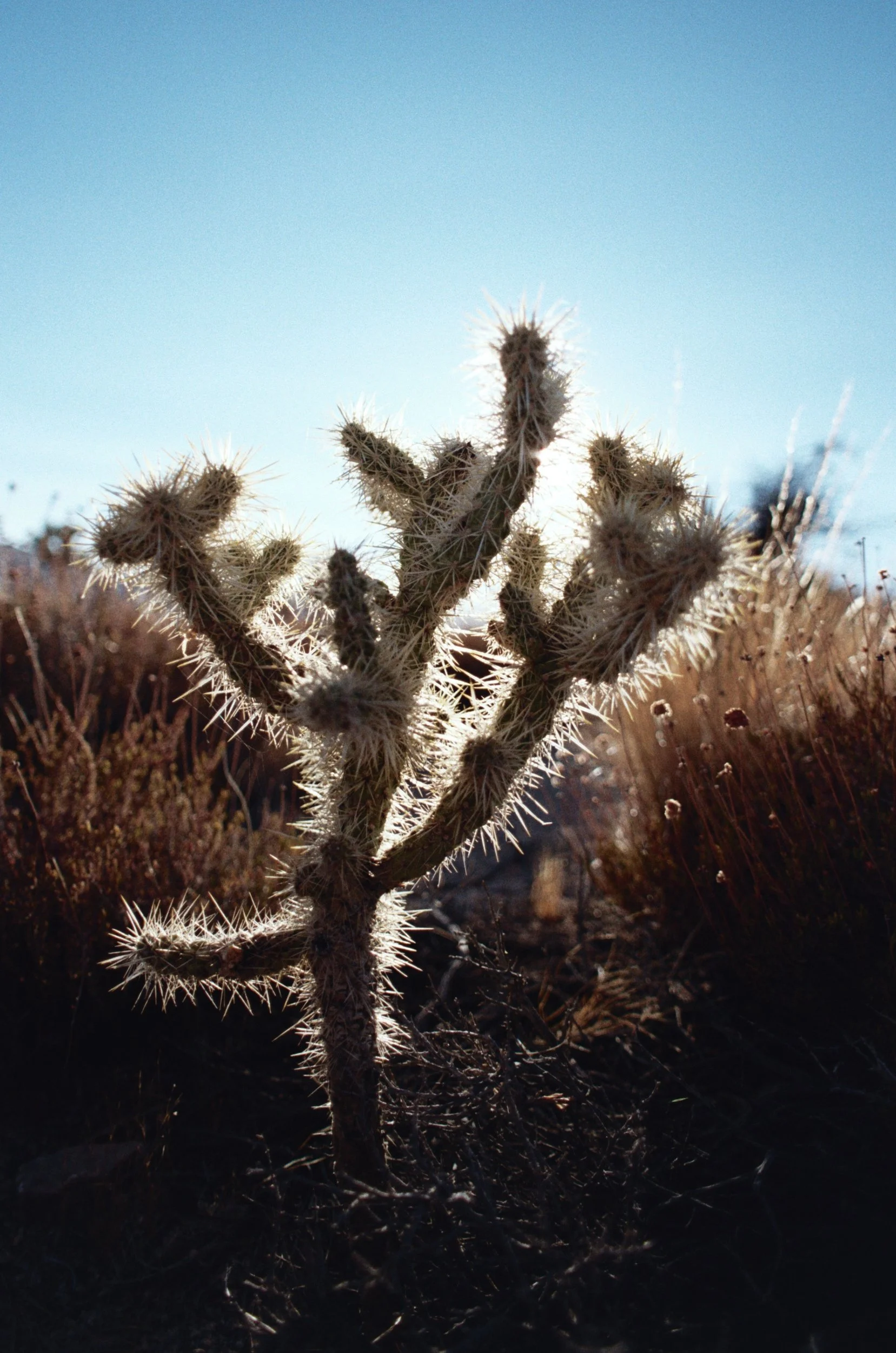 035_32A.jpg