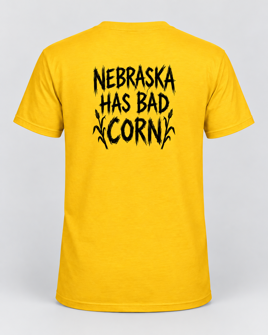 iowa back.png
