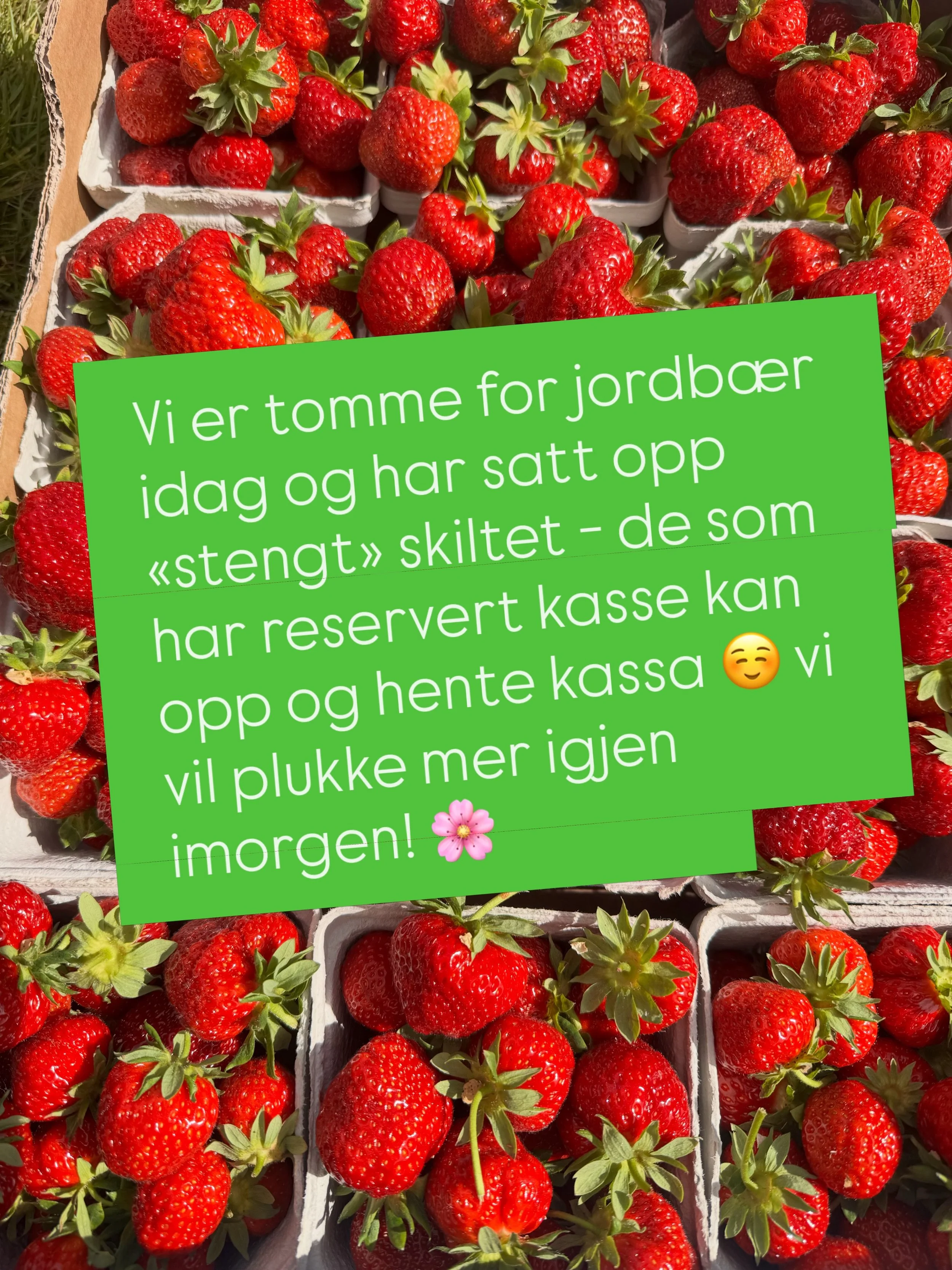 Status fredag 3 juli 🌸