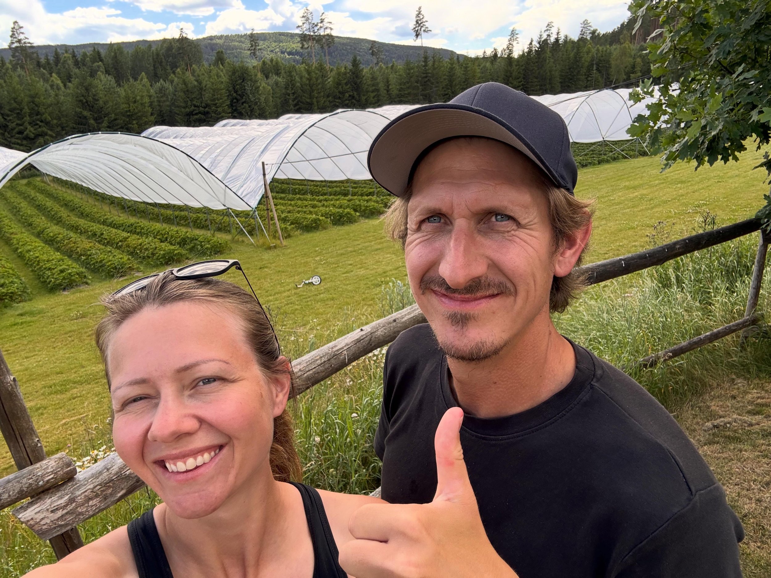 Me er n&aring; faktisk heilt utsolgt for dagen😻 

Men alts&aring; wow for ein sesong! Og den er fremdeles ikkje over 😻🍓 tusen takk til alle som har gjort dette til ein super start p&aring; jordb&aelig;reventyret 🫶🌸 

#&oslash;kologisk #&oslash;k