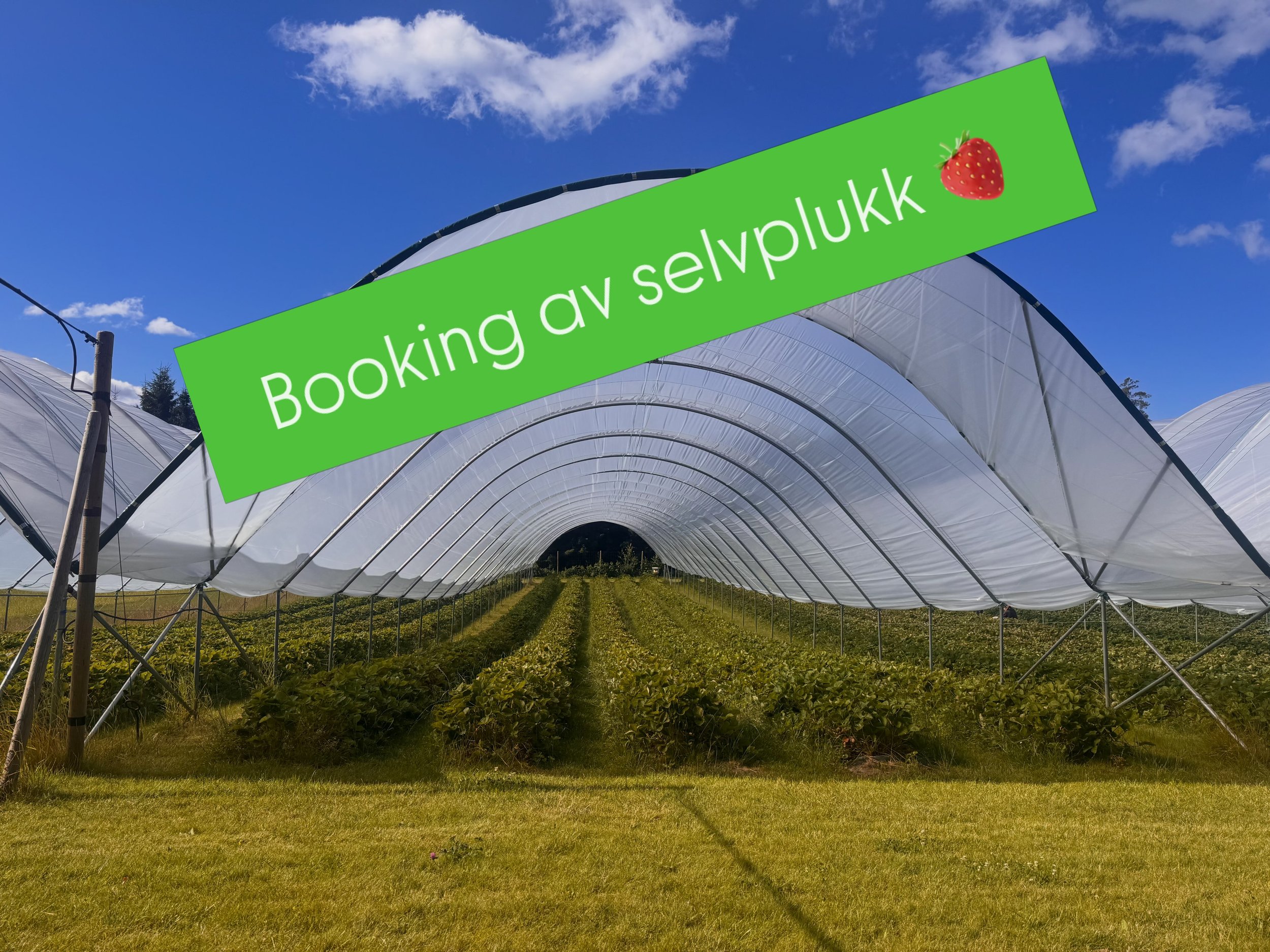 Vi merker det er litt utfordrende &aring; f&oslash;lge med p&aring; b&aring;de telefon, innboks, kommentarer og alle arenaer n&aring;🤭s&aring; for &aring; holde oversikten s&aring; har vi valgt &aring; ha alle bookinger av selvplukk via bookingsyste