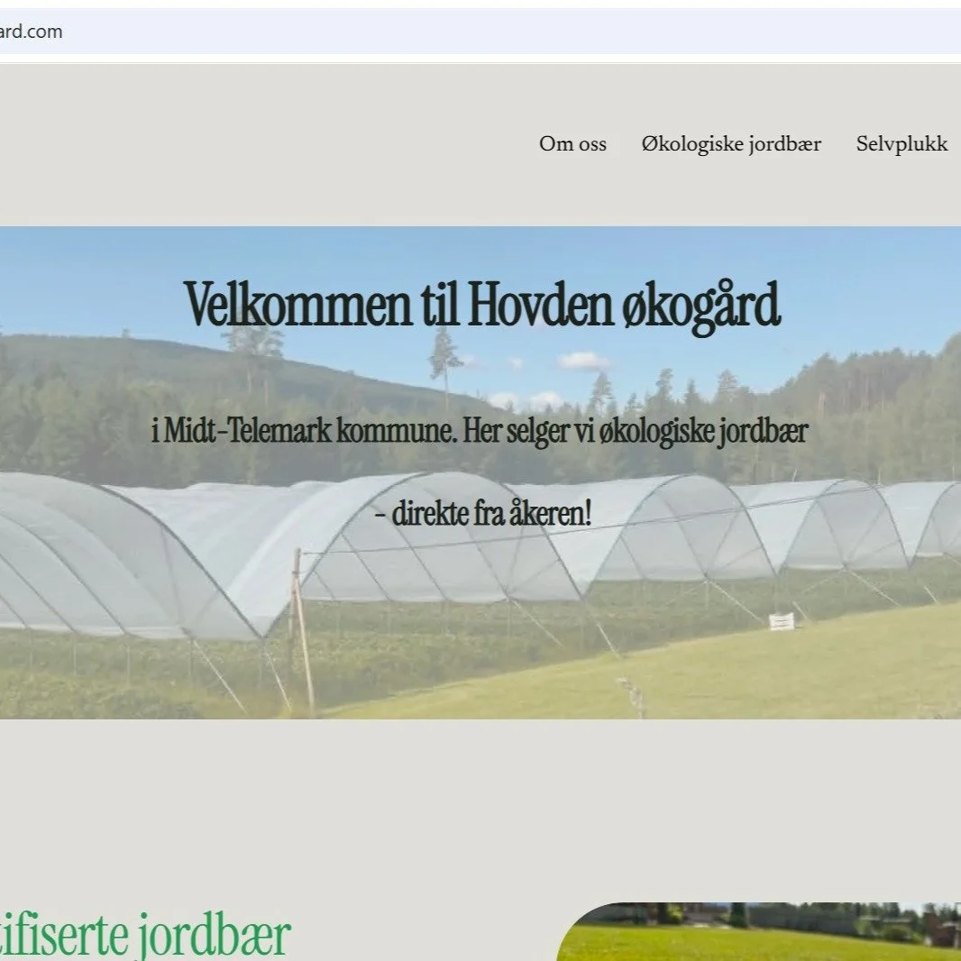 Woho! Vi har f&aring;tt oss hjemmeside 🙂 Sjekk den ut p&aring; linken i bio, eller i kommentarfeltet! Det m&aring; sies at den fortsatt er under arbeid, men vi begynner &aring; bli forn&oslash;yde med resultatet 🙂 
Hvis noen har tips til hvordan vi