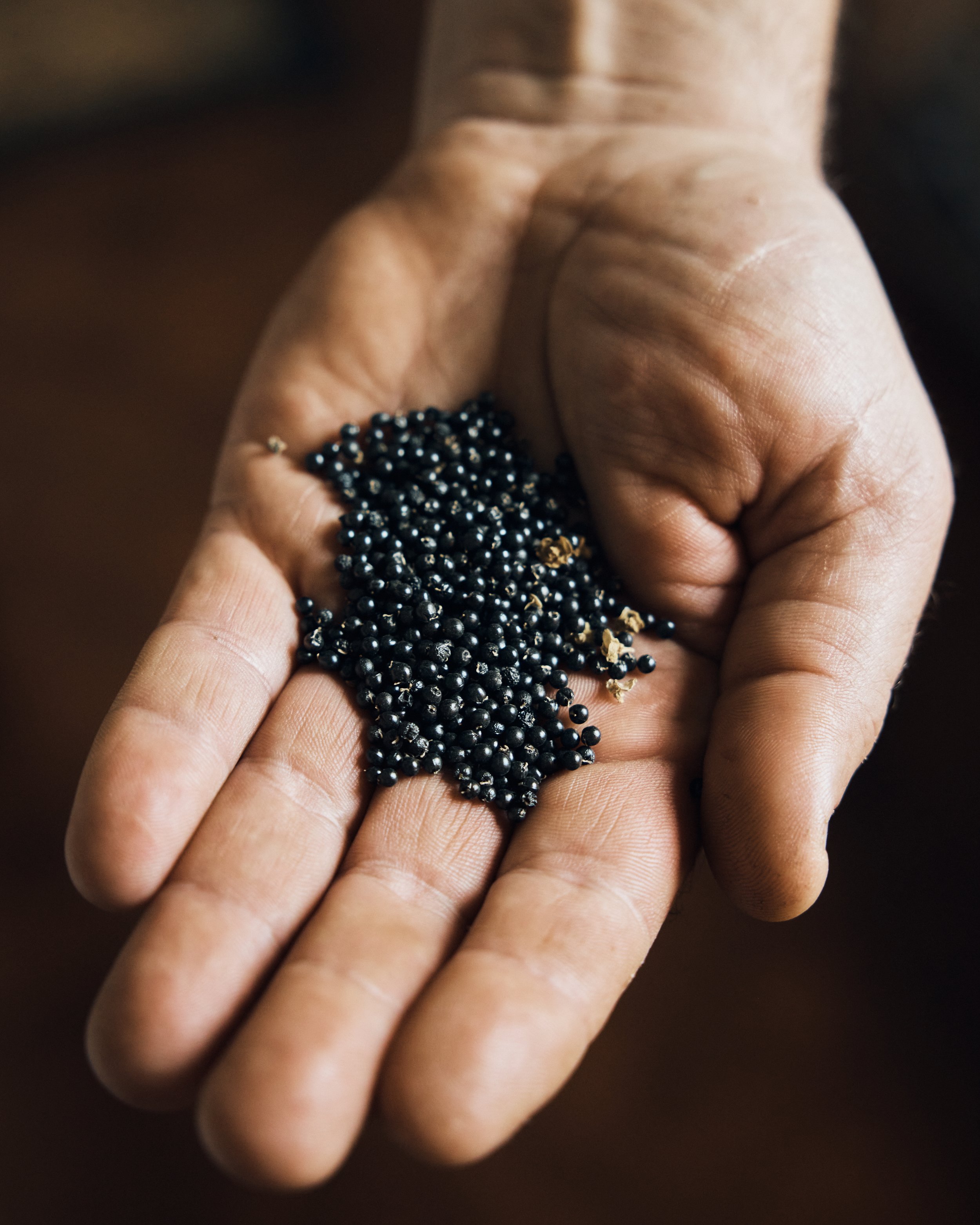 A close-up of a hand holding small black beads with a few metallic beads mixed in, against a dark background.