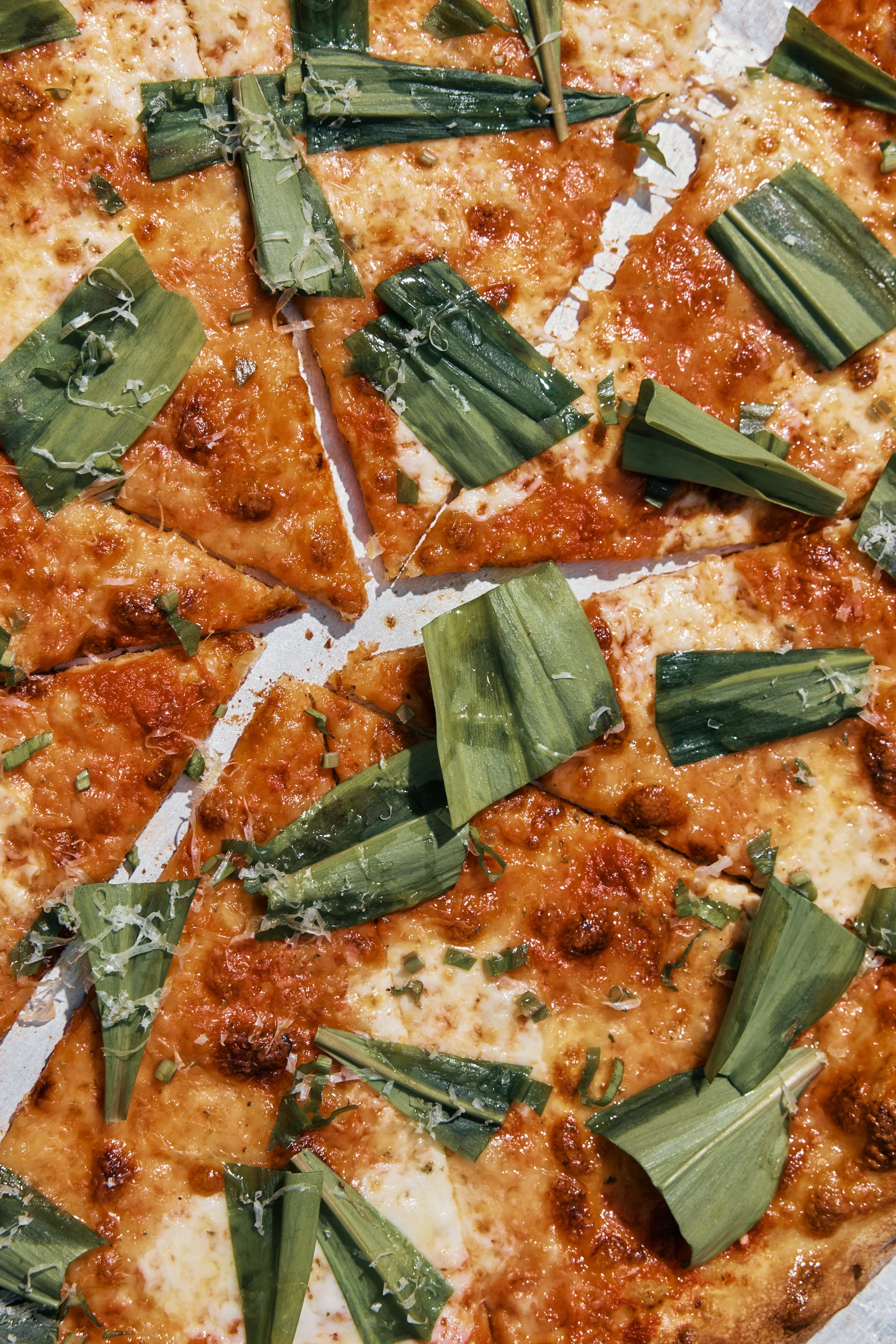 Close-up of a cheese pizza topped with chopped green onions and shredded cheese.