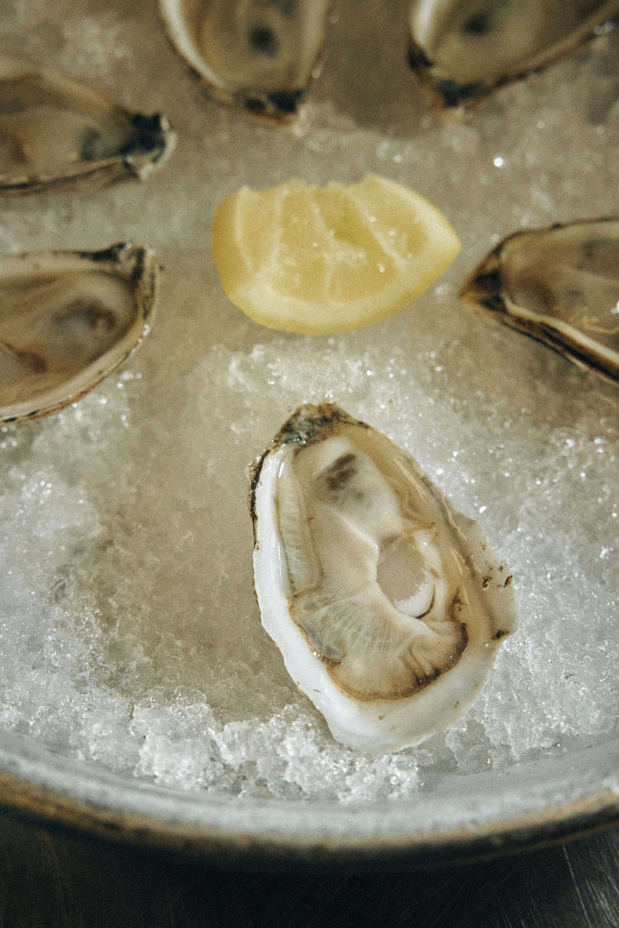 Open oyster shell with a slice of lemon inside, surrounded by crushed ice.