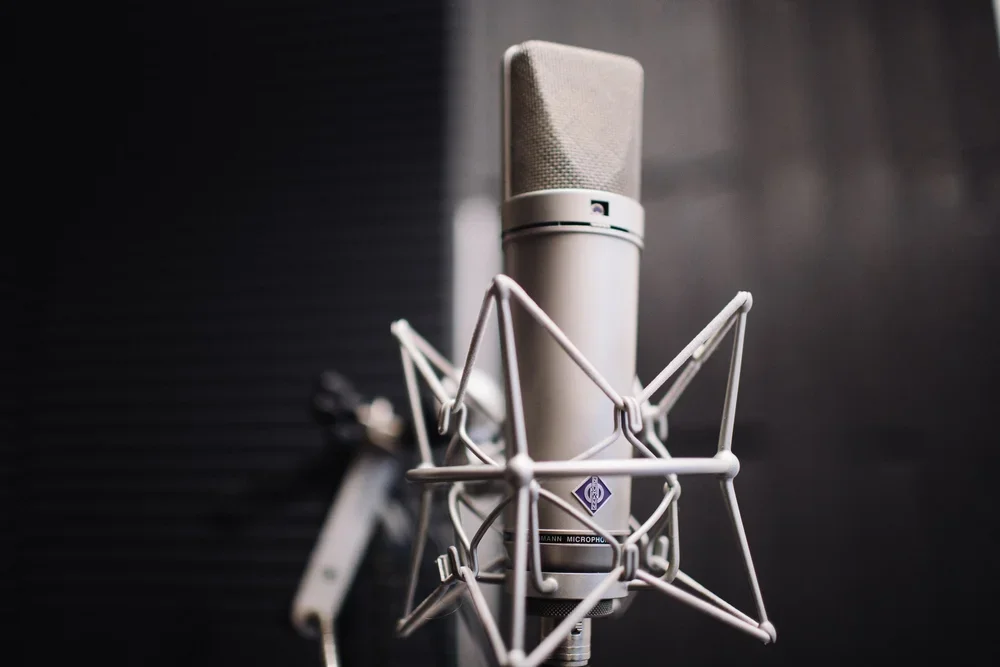 The Neumann U87 is an industry standard in vocal recording and one of the go to vocal tracking microphones at Third Coast Recording Co.