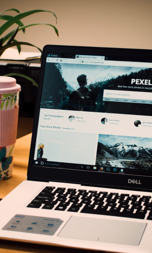 A Dell laptop open on a desk displaying the Pexels website with nature photos. To the left, there's a pink and teal disposable coffee cup with a floral design and a black straw. In the background, there is a green potted plant and a beige wall.