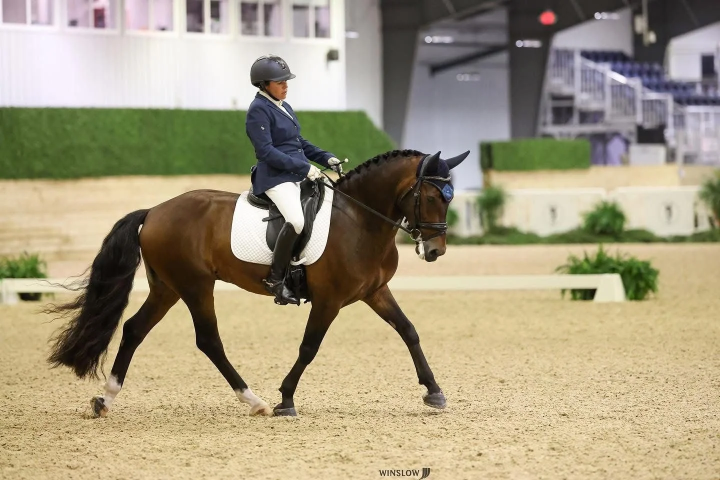 A woman dressed in equestrian riding attire riding a brown horse with a black mane and tail inside an indoor riding arena.