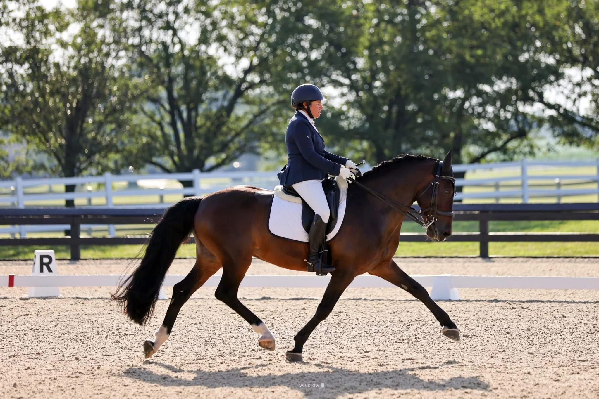 A female horse rider, dressed in formal riding attire including a helmet, navy jacket, and white breeches, riding a brown horse with a dark mane and tail in an outdoor dressage arena. The background features green trees and white fencing.
