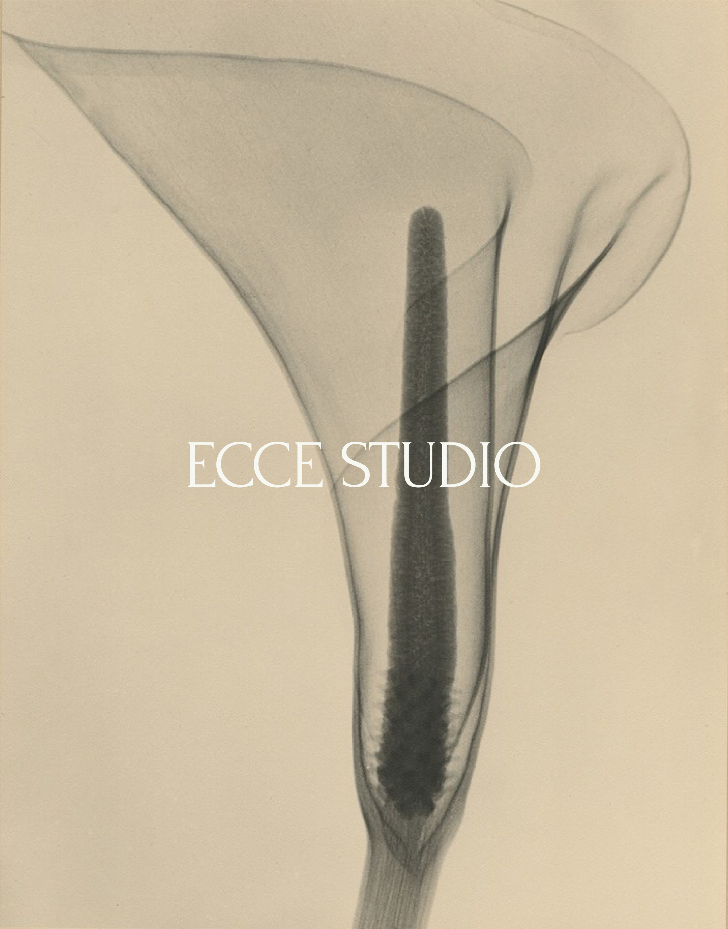 MOCKUP ECCE- FLOR@300x.png