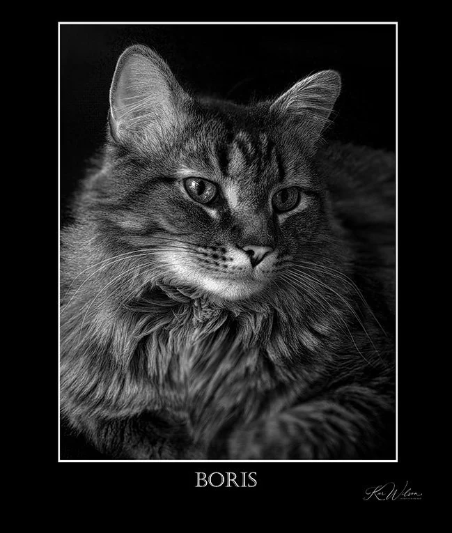 Boris IR WEB.jpg