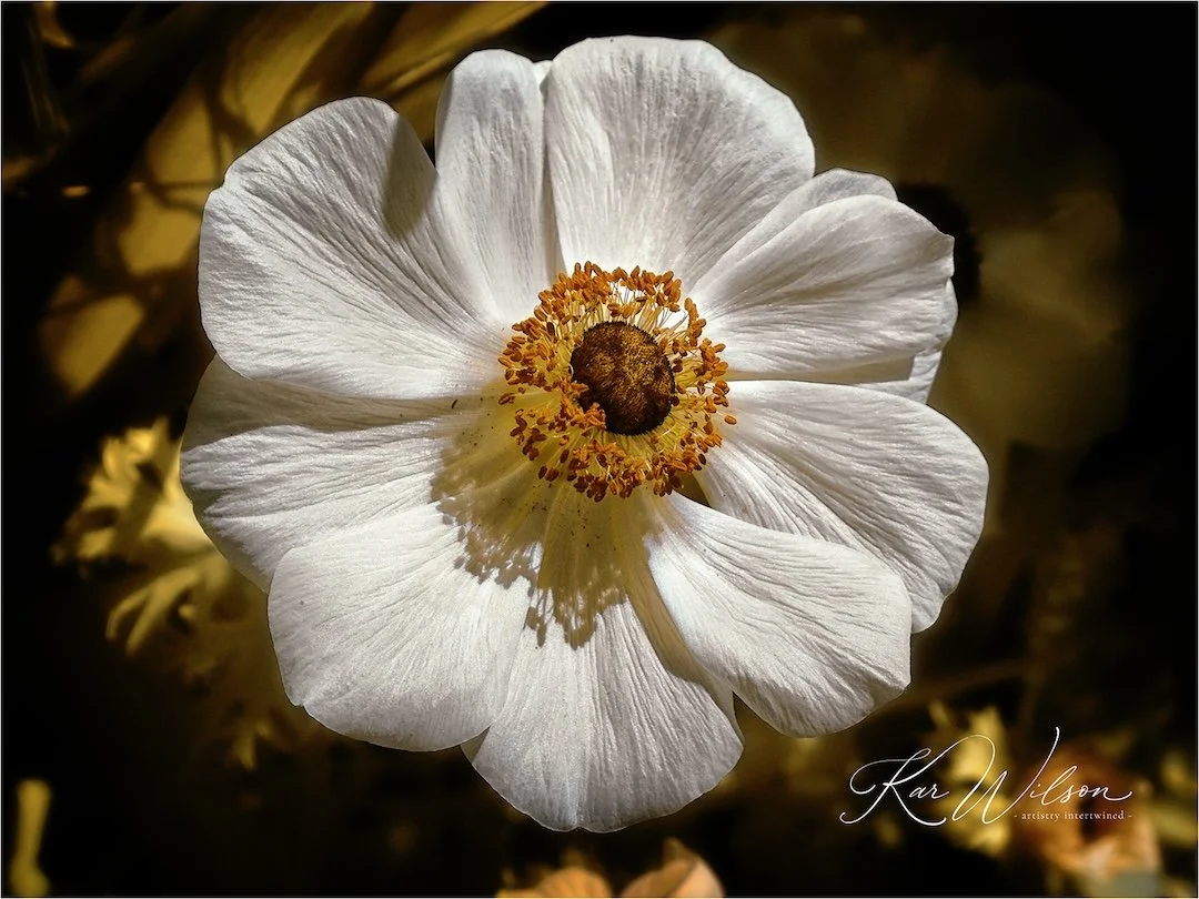 LENS LAB: My Photography Club Adventures