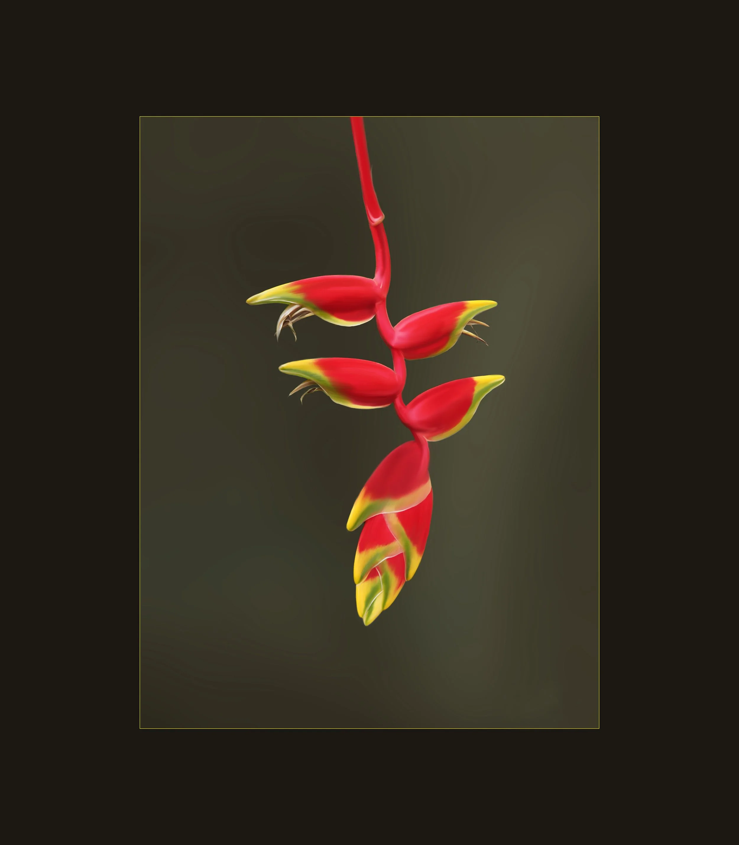 | Petals Bark and Leaves }